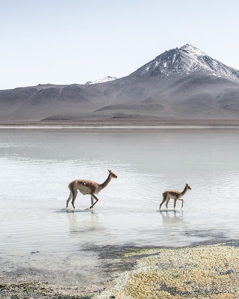 15 Breathtaking Destinations to Witness Nature's Beauty at Its Peak