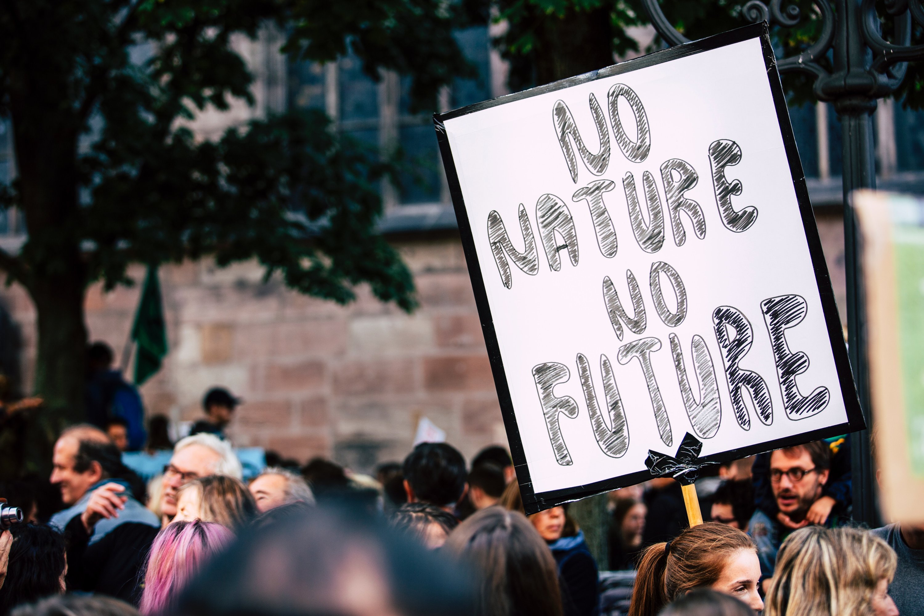 You Are Stealing Our Present: The Urgency of Climate Action and Youth Activism