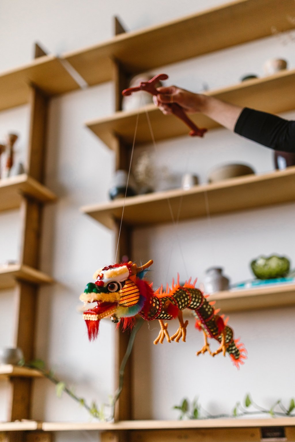 Chinese Zodiac Signs: Understanding the Most Common Profession, Personality, Spiritual, Emotional, and Psychological&nbsp;Traits