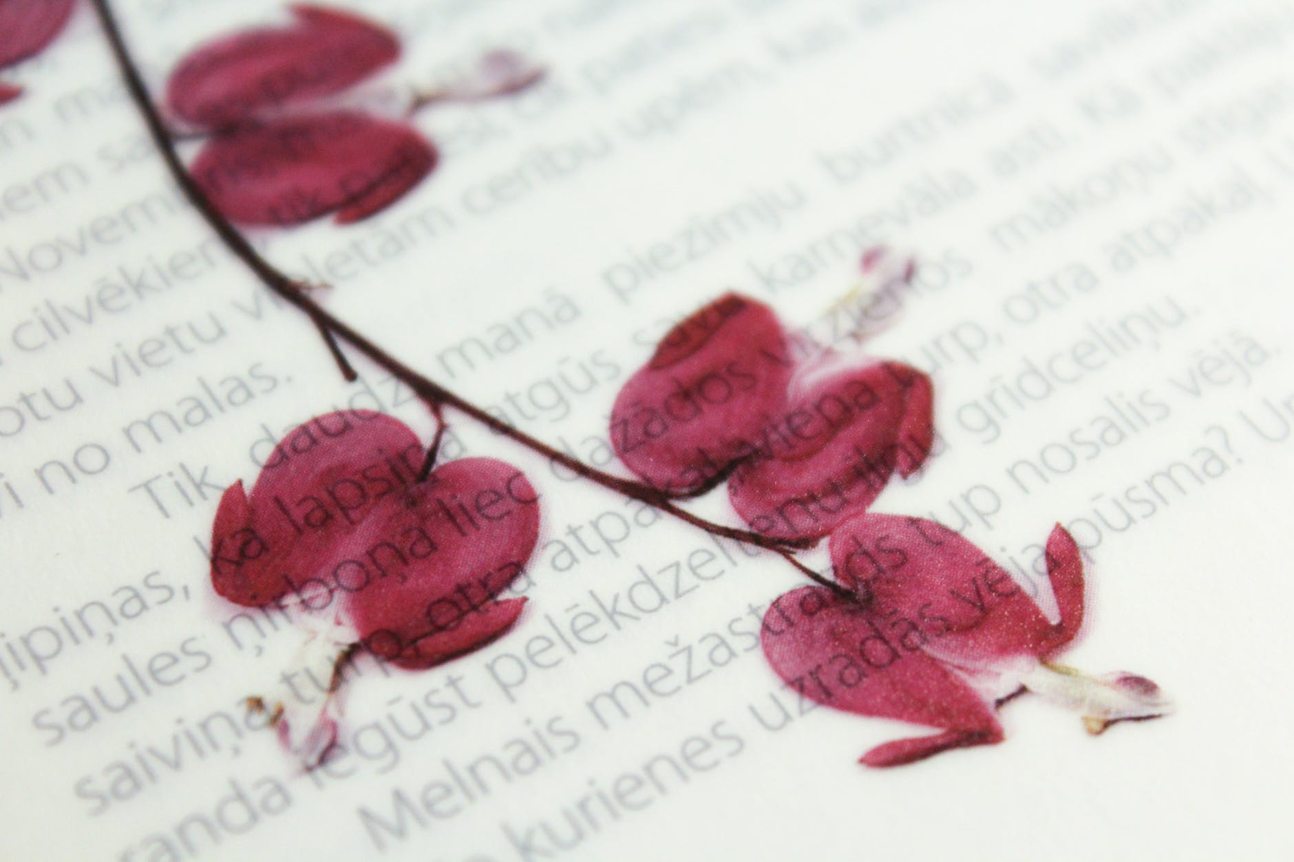 28 Most Common Styles of Poetry