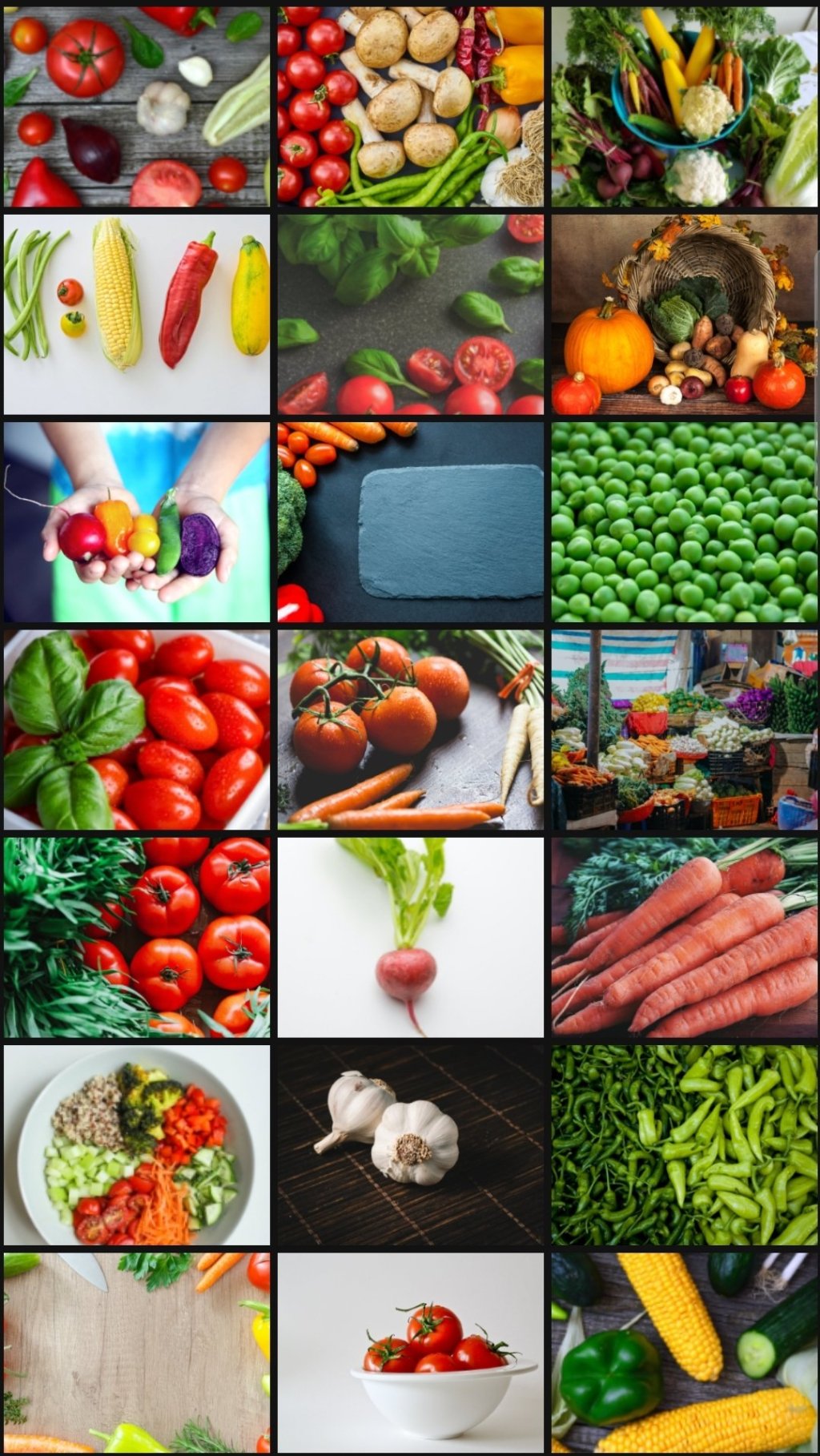 The Dawn of a Plant-Based&nbsp;Age