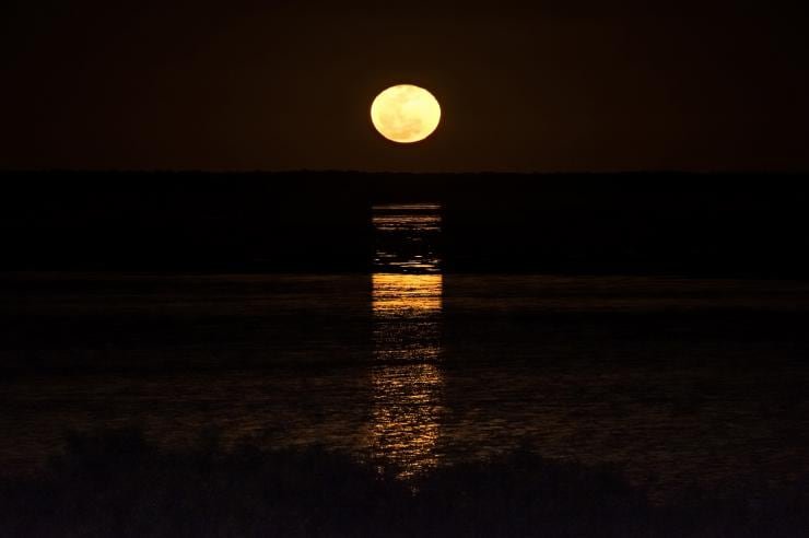 Cable Beach: Exploring the History, Geology, and Natural Beauty of Western Australia’s Coastal&nbsp;Gem