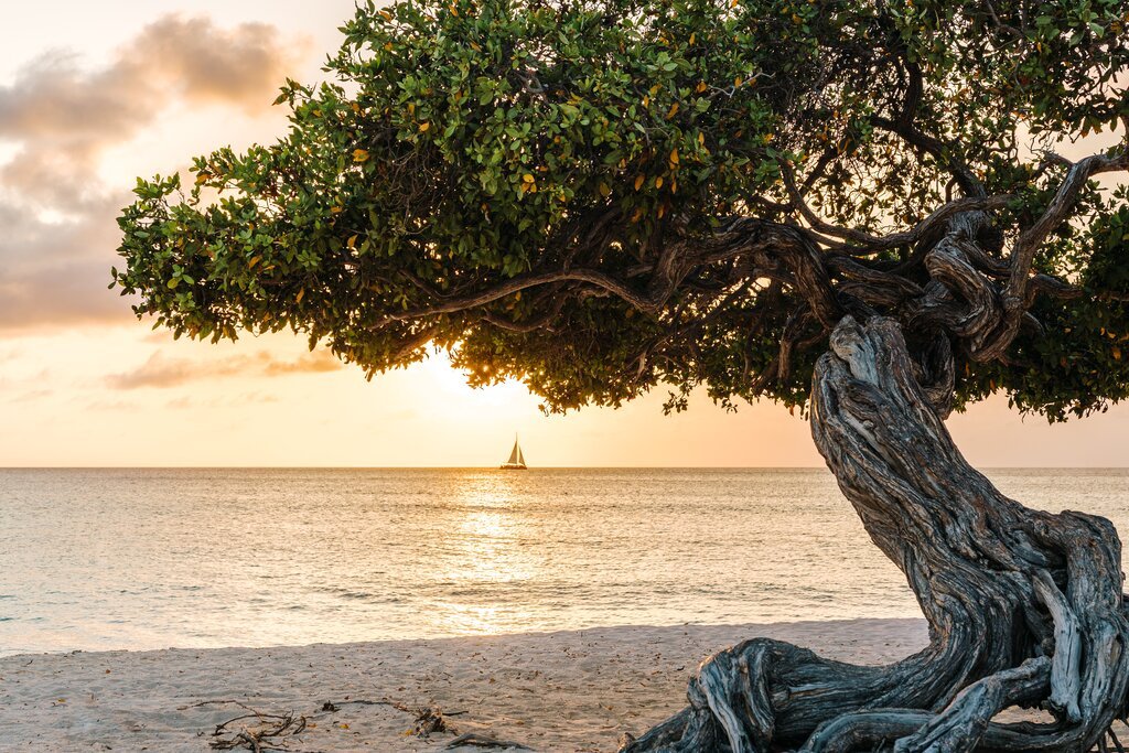 Discovering the Rich History and Natural Beauty of Eagle Beach, Aruba