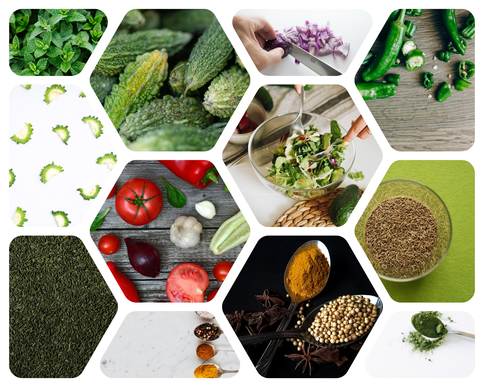 Bitter Gourd and Mint Vegetable Recipe: A Healthy and Flavorful Indian Dish