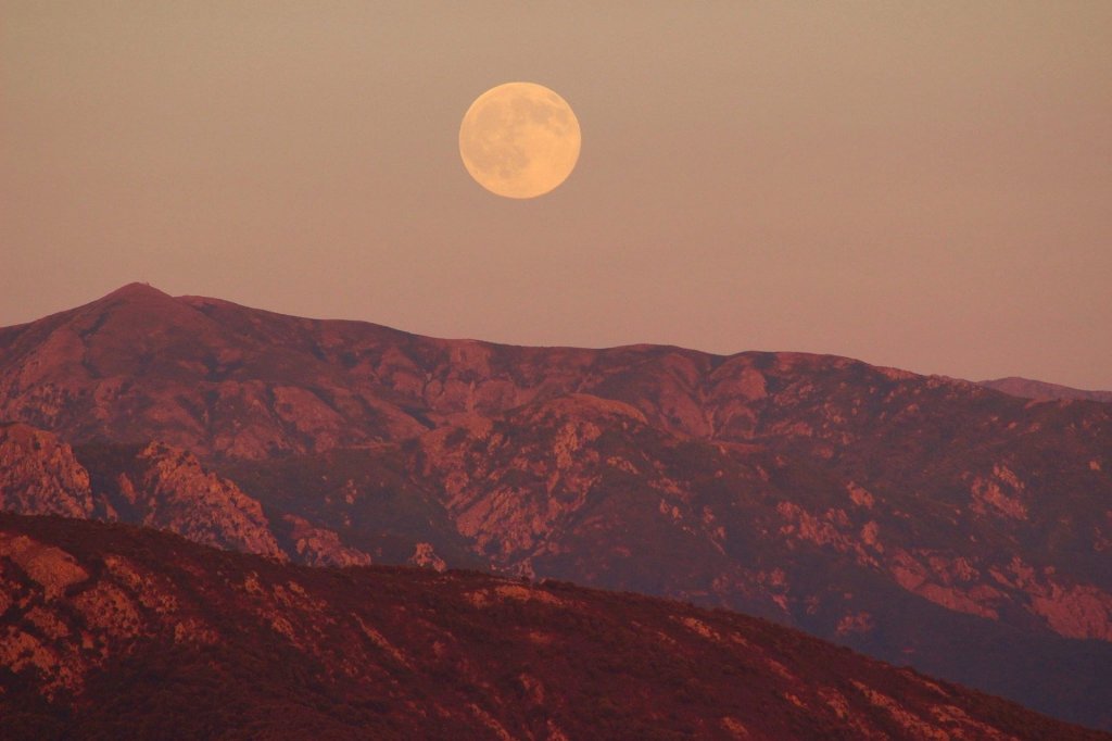 Full Pink Moon: Origin, History, Folklore, and Scientific&nbsp;Significance