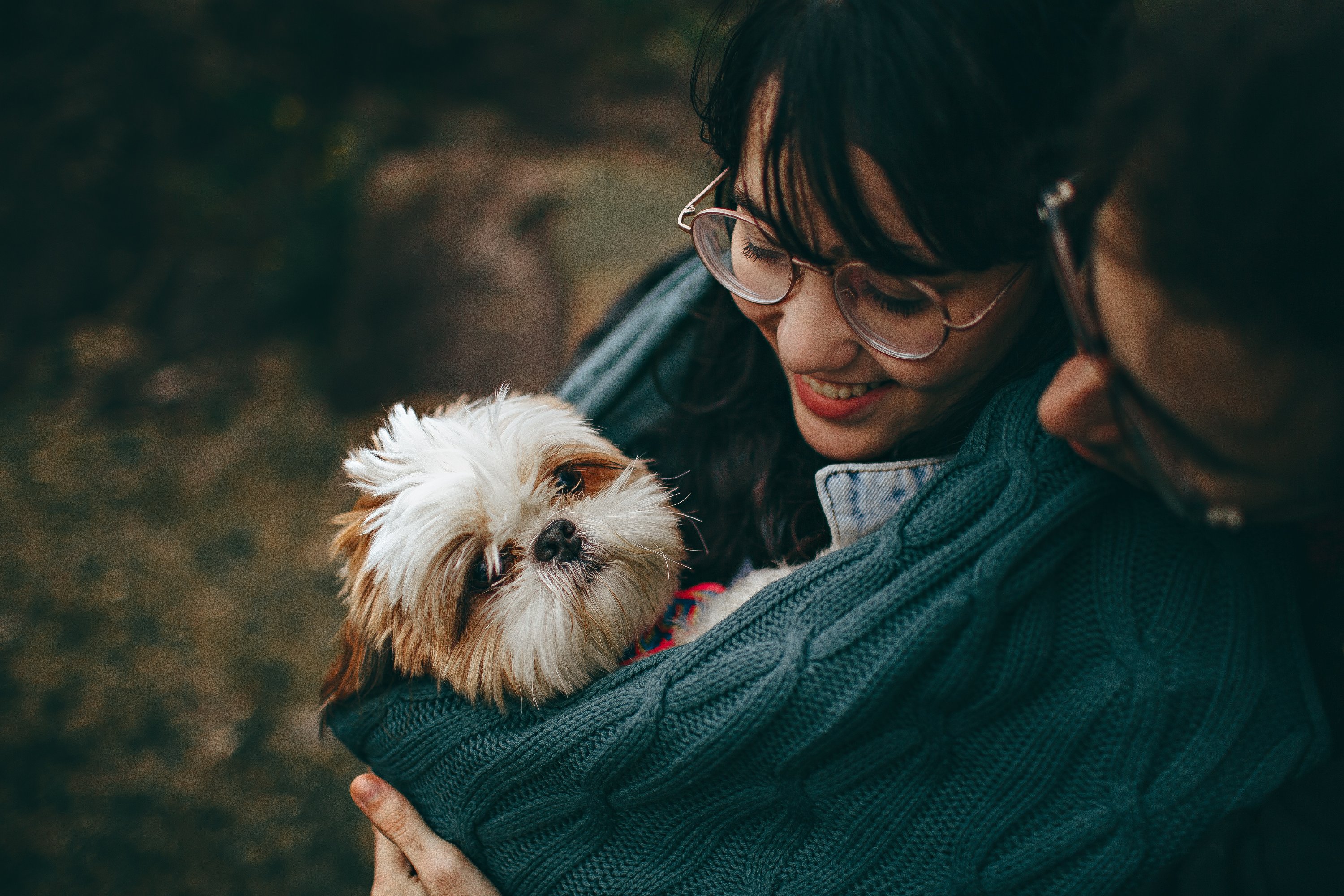 Best and Worst Pets: A Comprehensive Guide to Choosing the Right Companion Animal