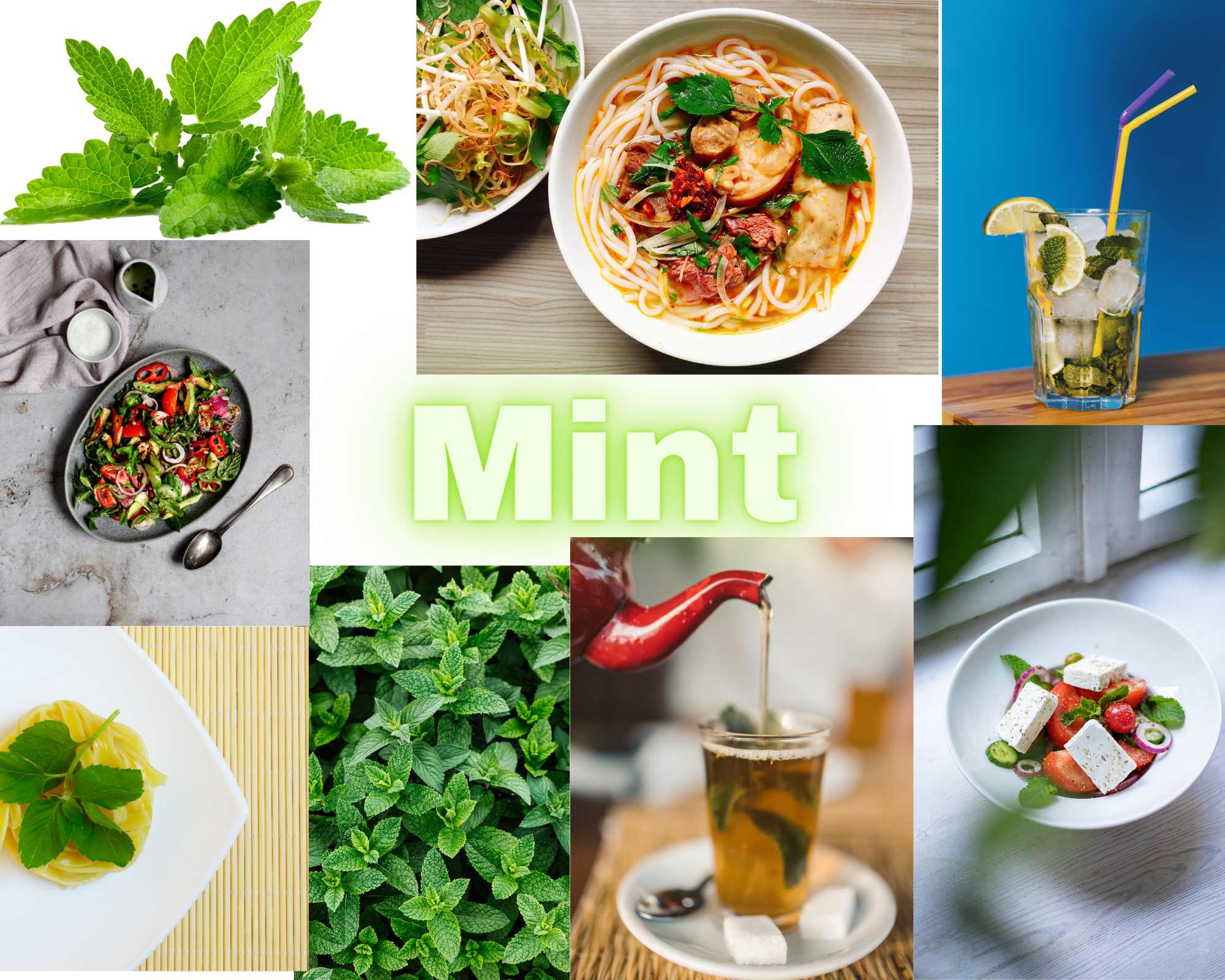Delicious and Healthy Ways to Use Mint Leaves in Your Cooking