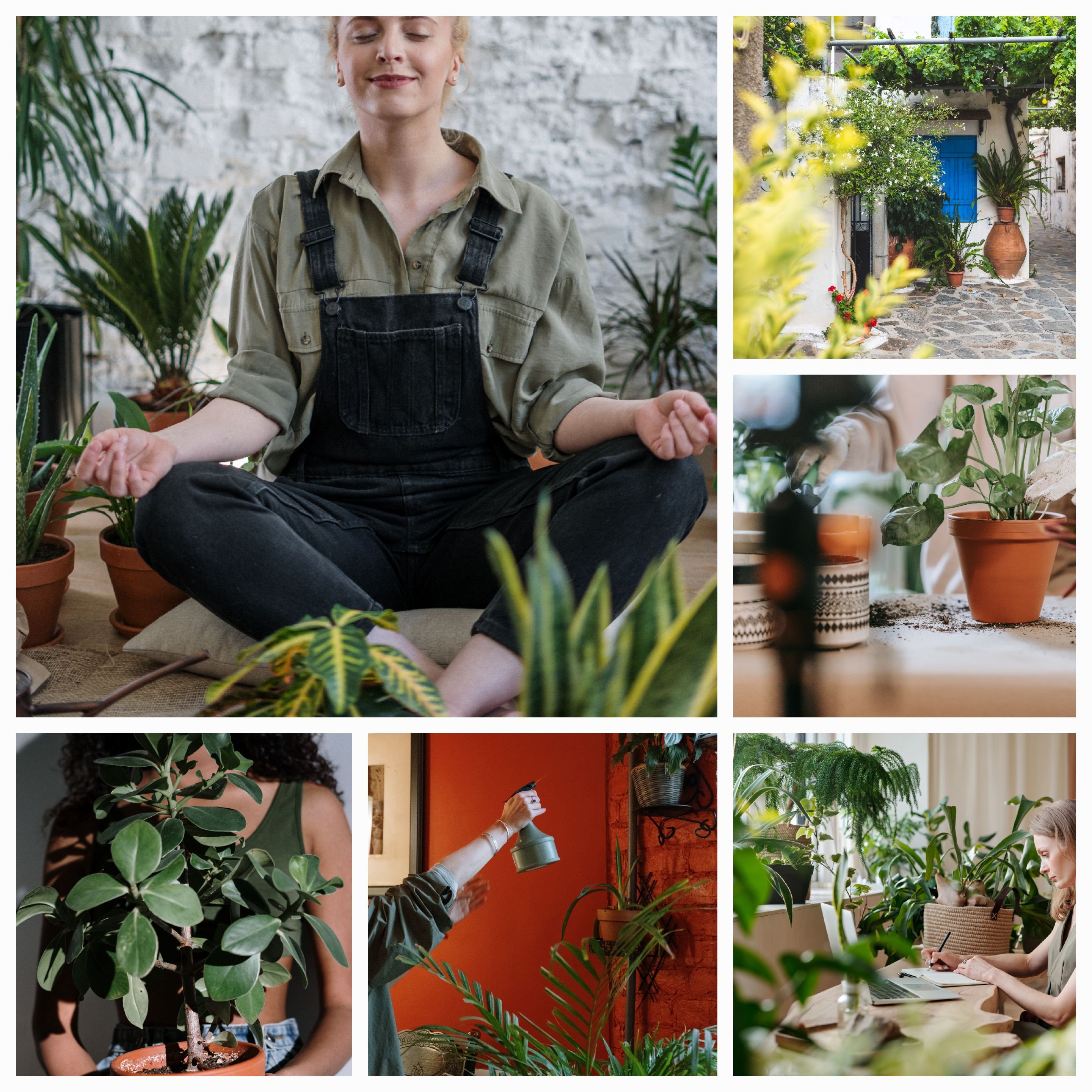 The Power of Plants: How Connecting with Nature Improves Mental Health