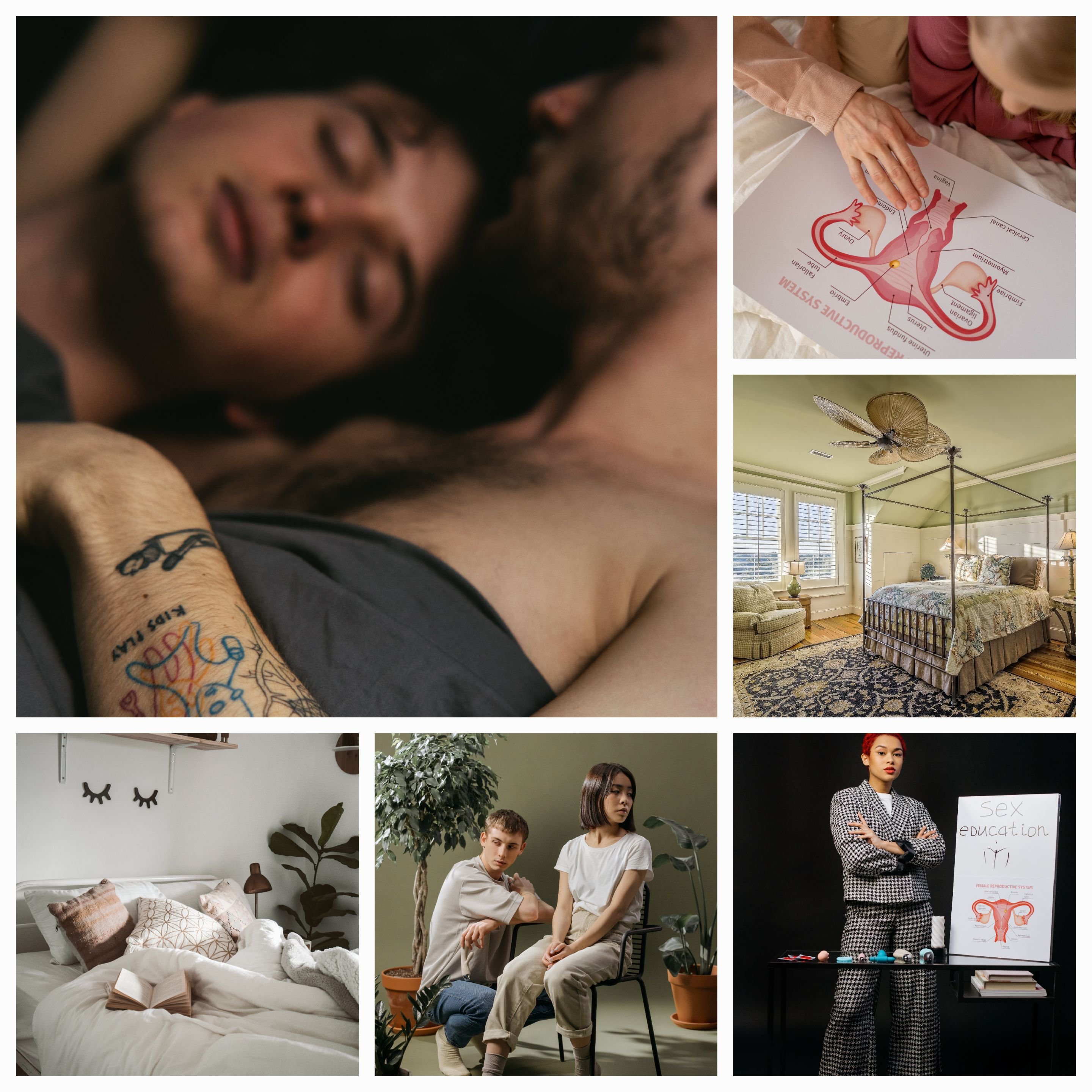 Understanding the Multifaceted Contexts of Human Sexuality