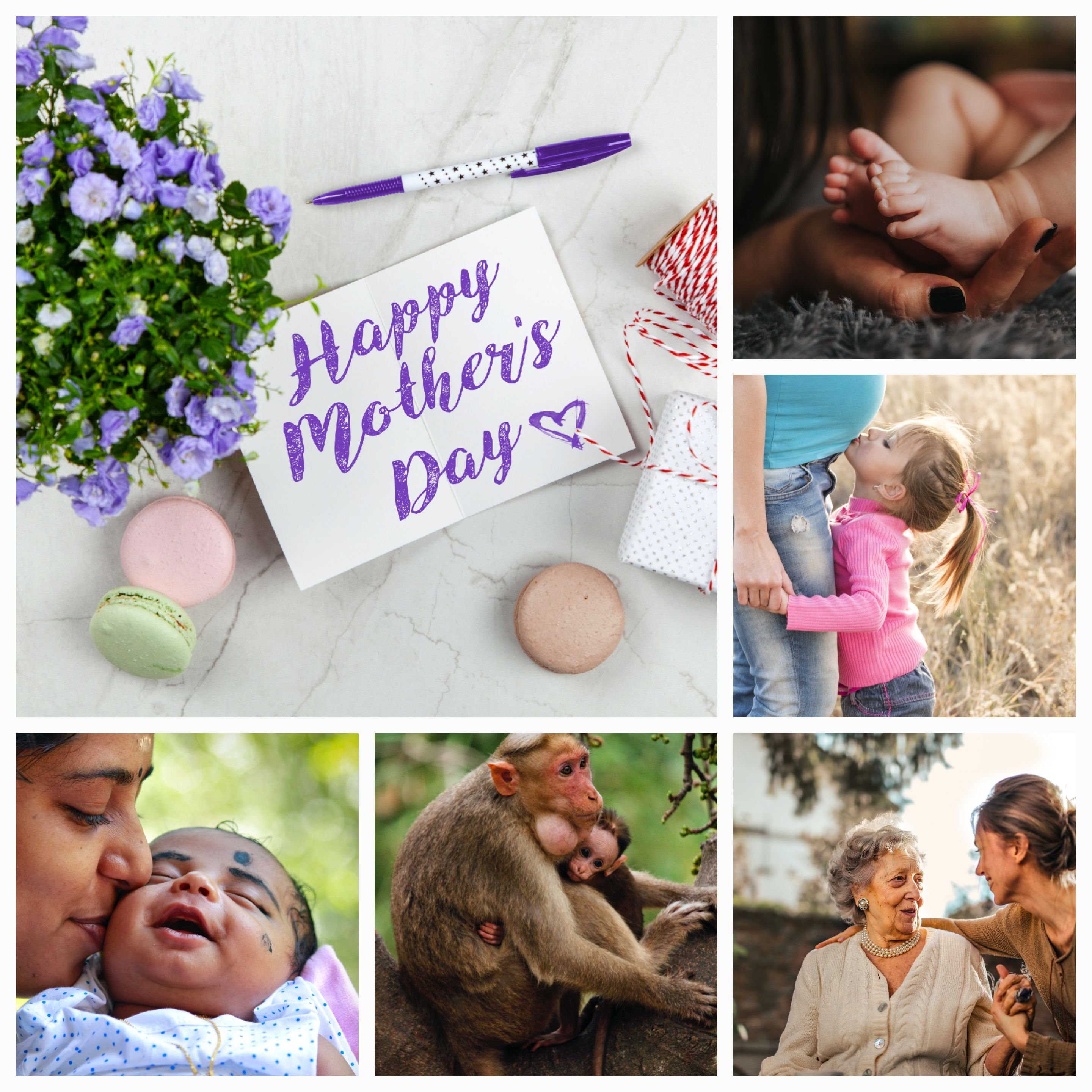 No Life Comes With a Manual, but Every Life Comes With a Mother: The Importance of Maternal Love and Guidance