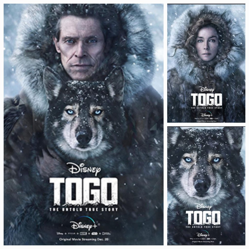 Togo Movie Review: A Heartwarming Tale of Bravery and&nbsp;Loyalty