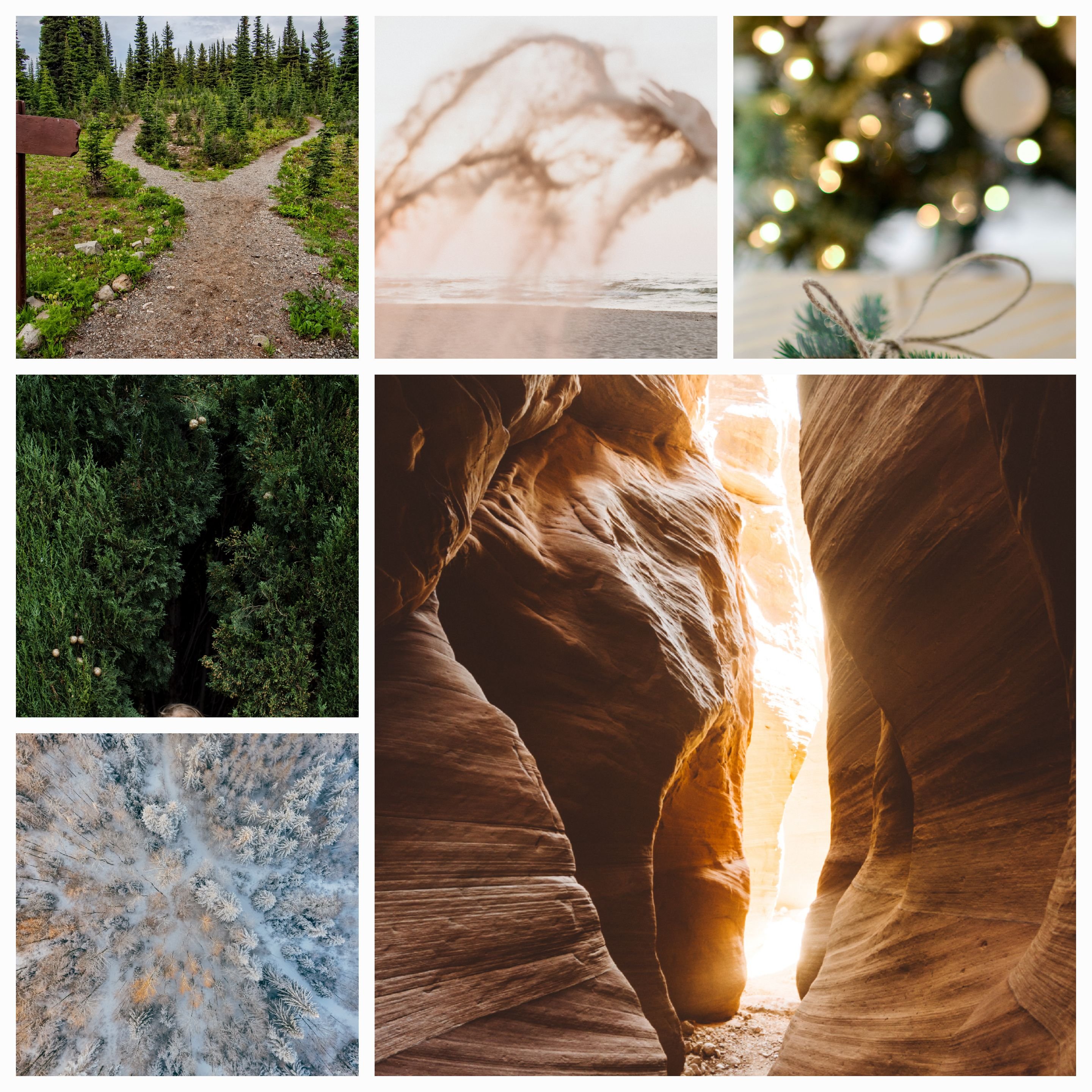 Choosing Your Path in Life: Logical, Magical, or Foolish? Exploring the Consequences