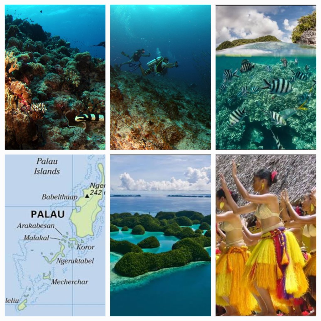Explore Palau: A Tropical Paradise of Pristine Beaches and Vibrant Coral Reefs