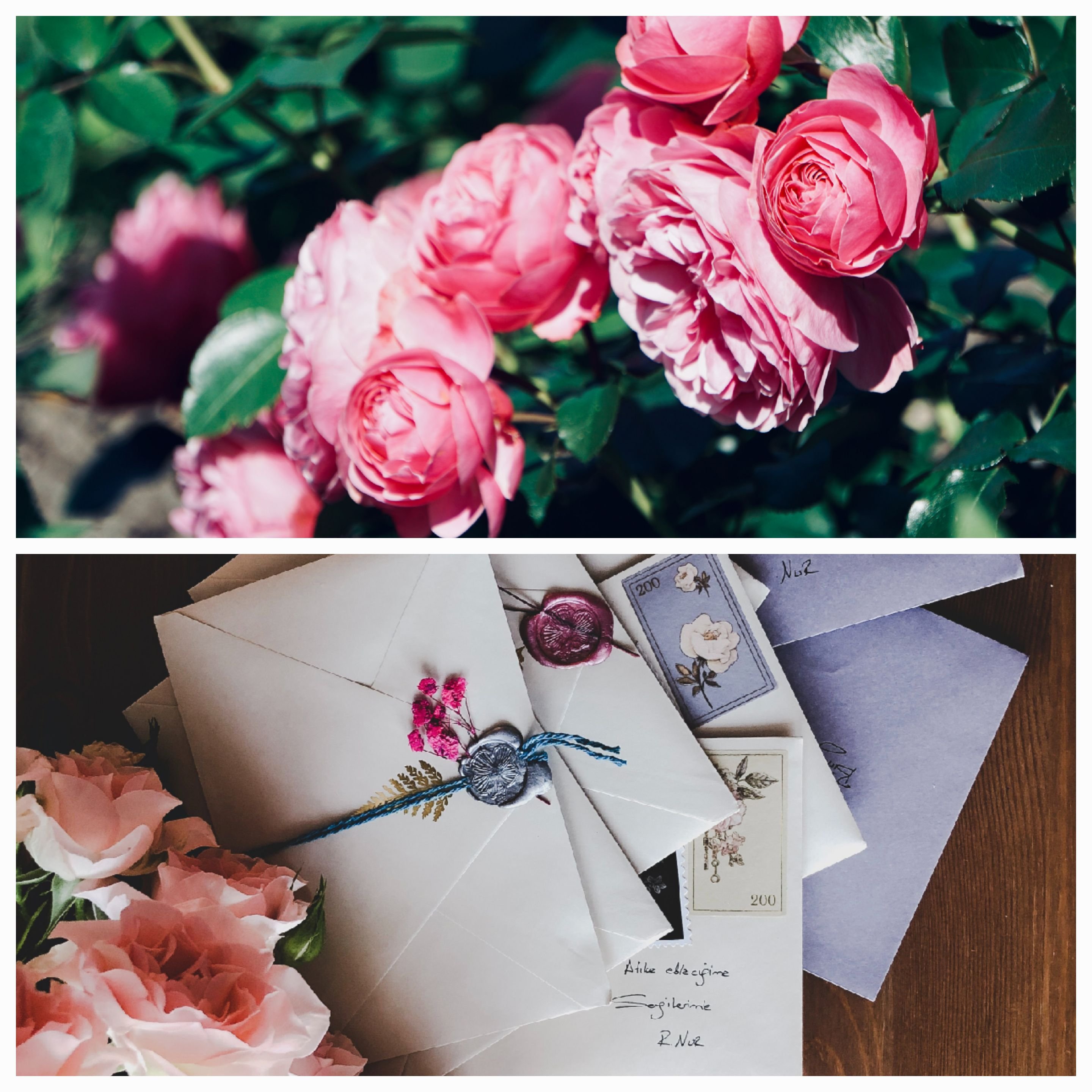 Uncovering Memories: Exploring the Treasures of the Past