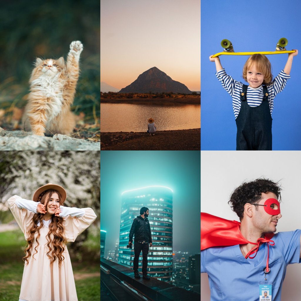 Resilience Unveiled: Embracing Life’s Hardest Lessons and Finding Strength&nbsp;Within