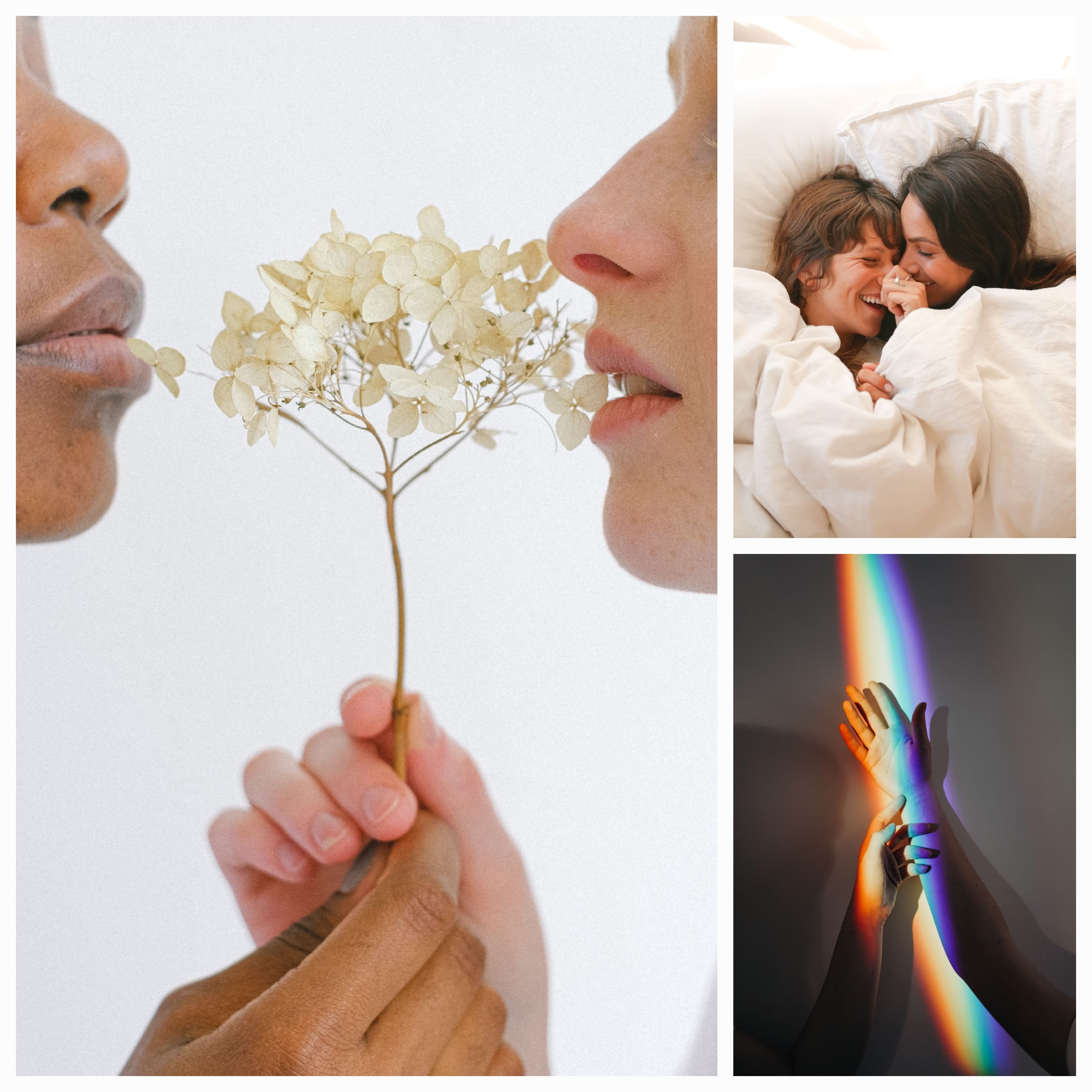 Love Against the Odds: A Story of LGBTQ+ Resilience and Triumph in India