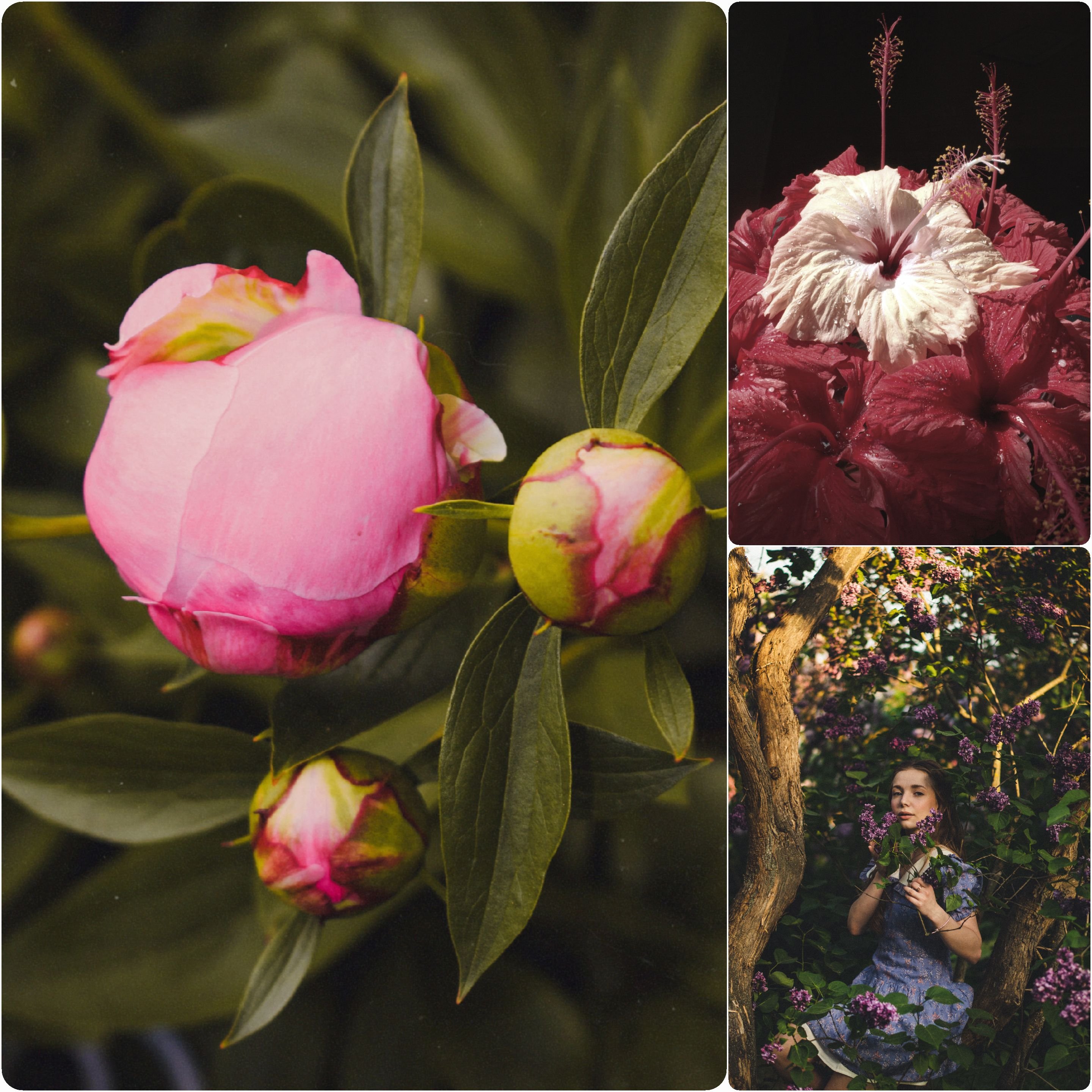 Exploring the Tension between Beauty and Goodness in Philosophy and Culture