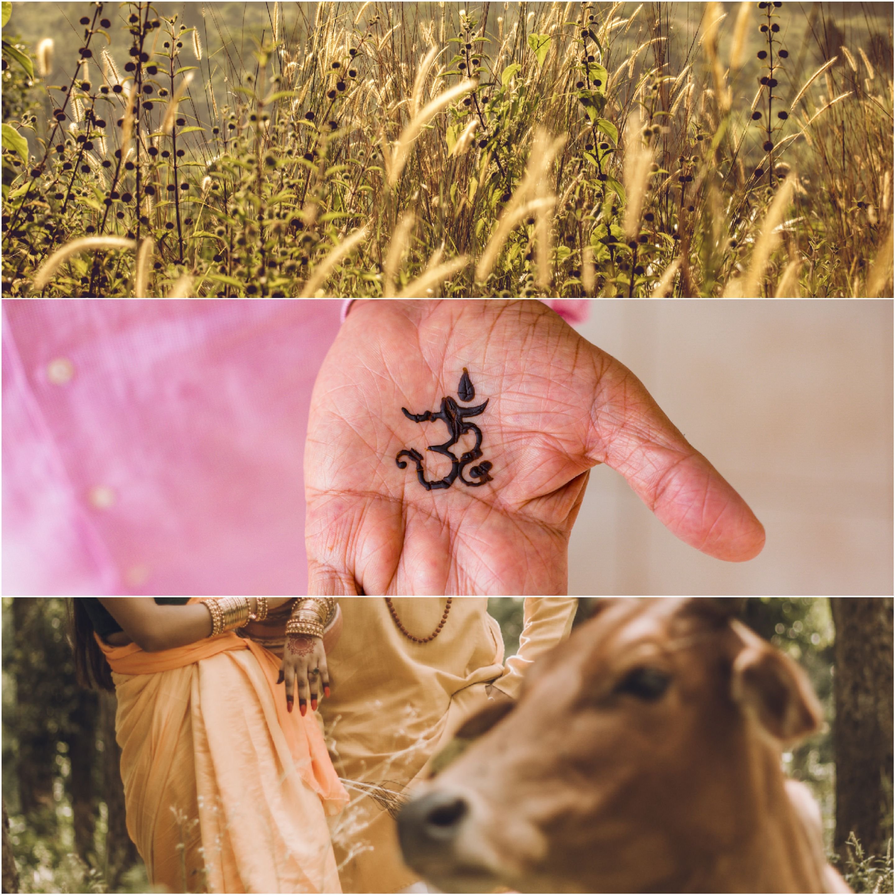 The Hindu Way of Economy: A Sustainable and Ethical Approach to Economic Development