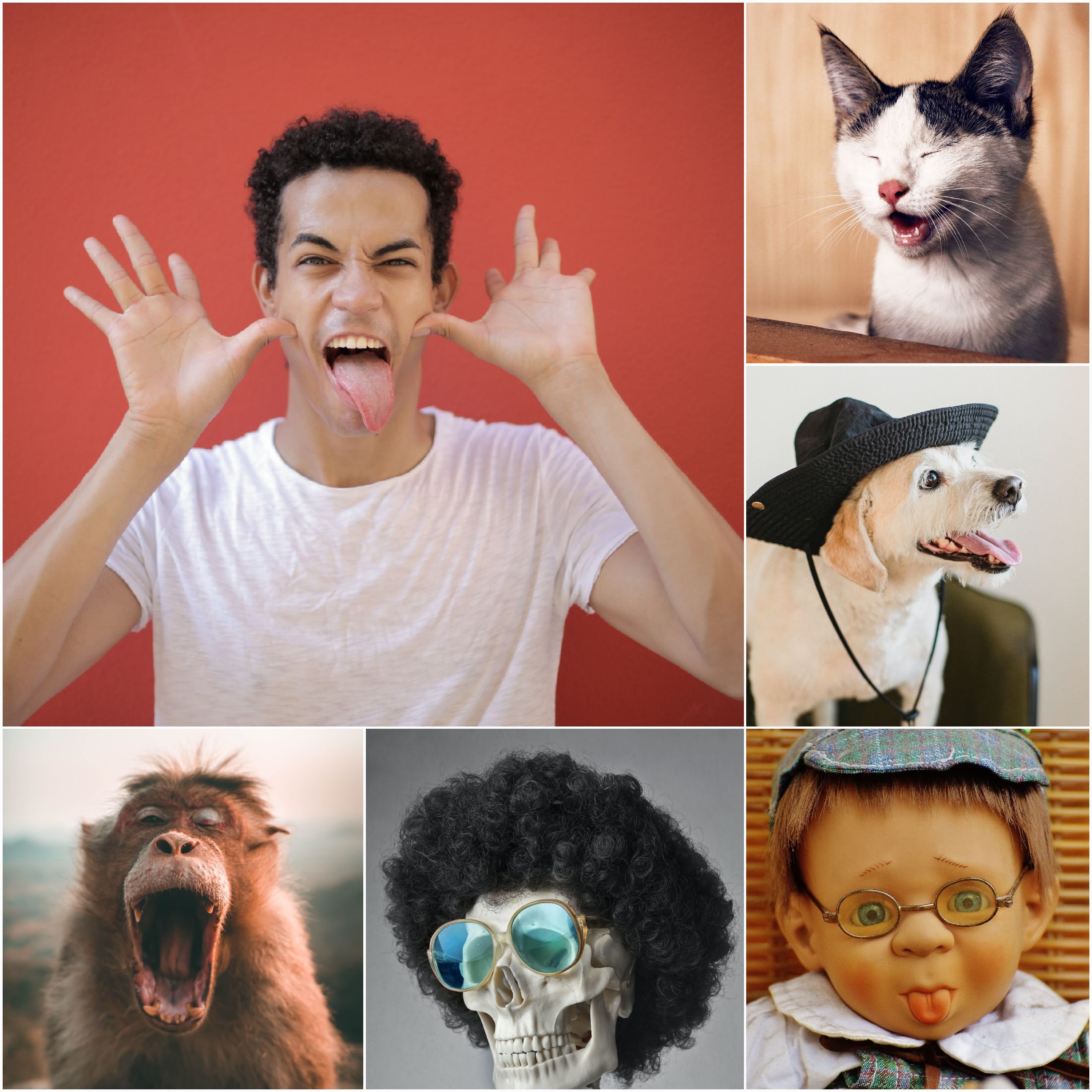 My Favorite Thing About Myself: Embracing Humor and Finding Joy in Life