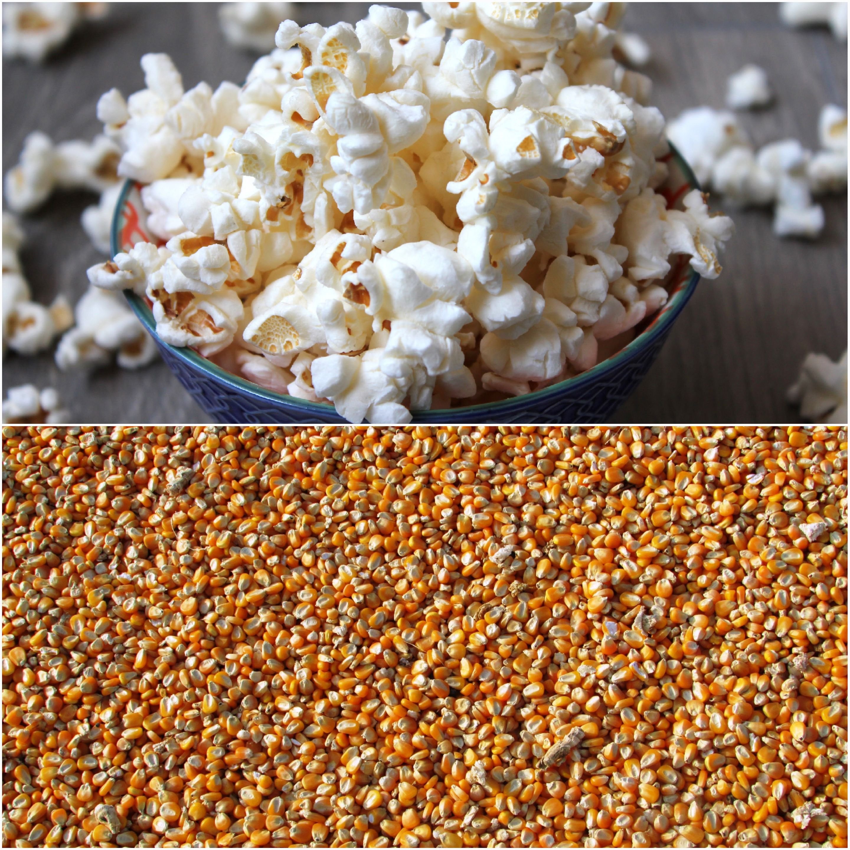 The Popcorn Concept: How Small Actions Can Have Big Impact