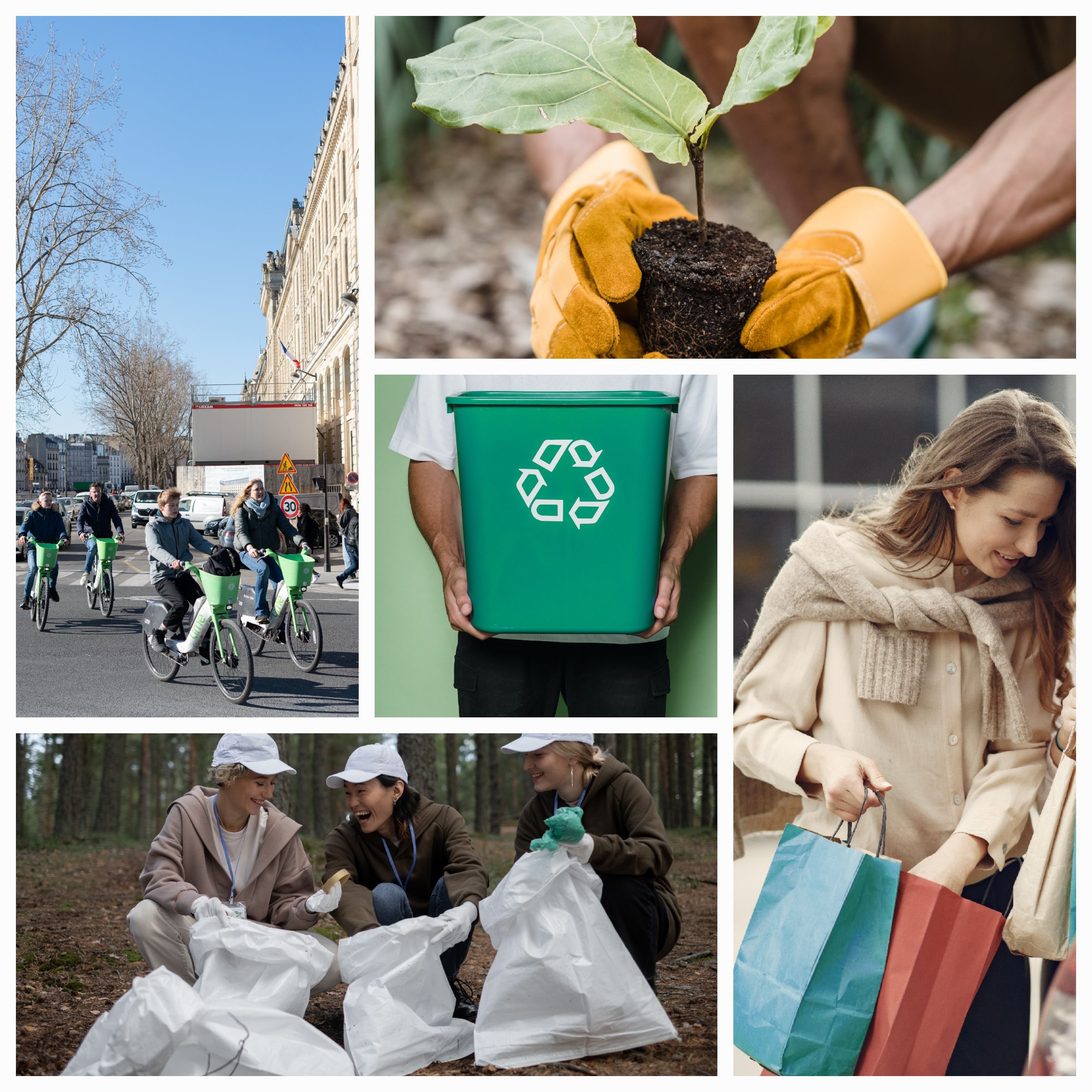 Living a More Sustainable Lifestyle: Things I Try To Practice Daily