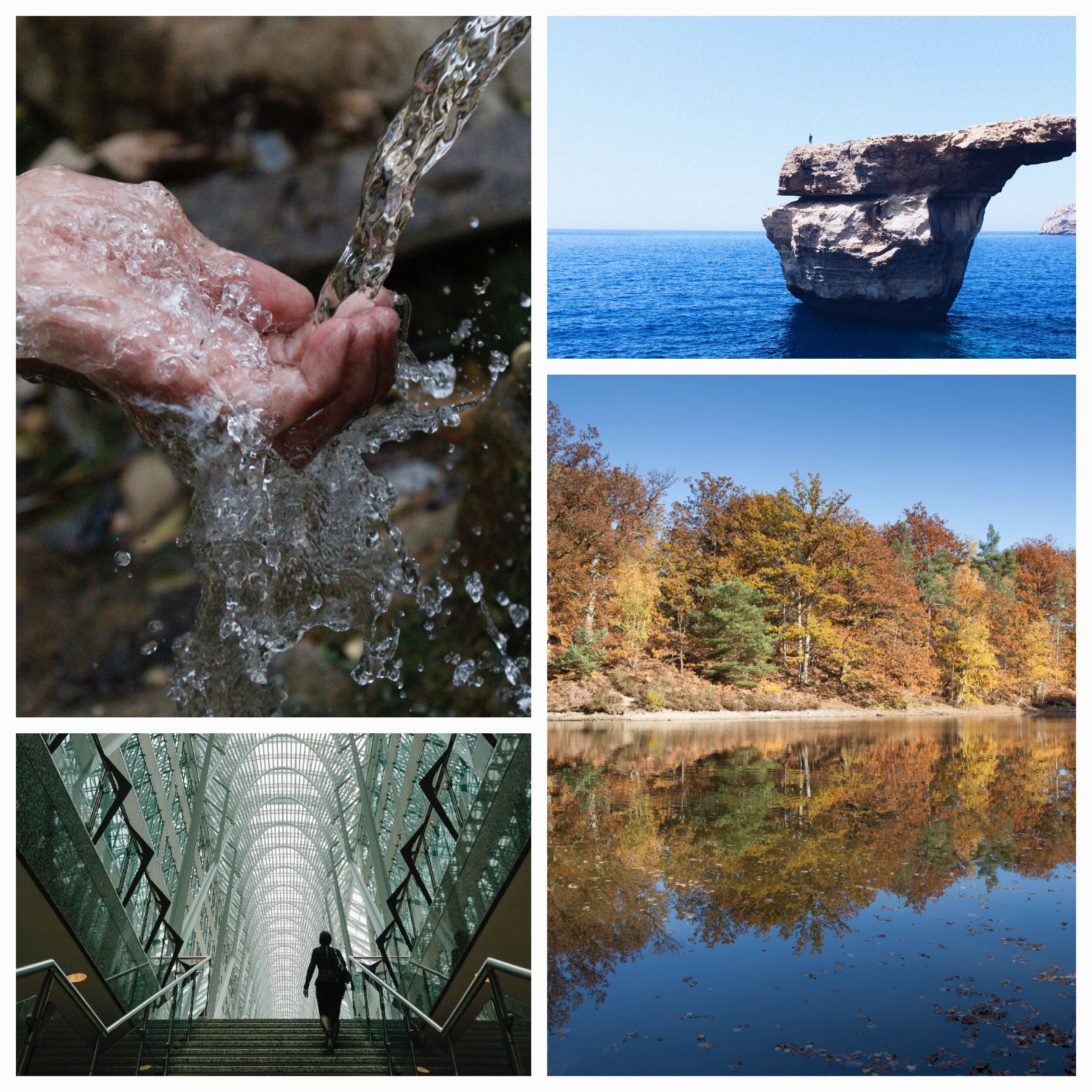 Embracing Complexity: Navigating the Intricacies of Life and Finding Harmony