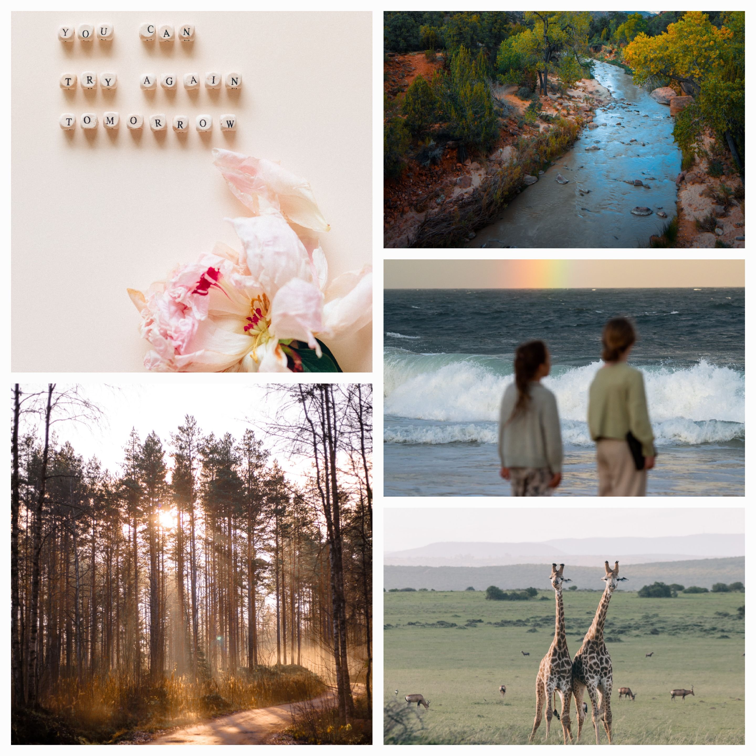 Letting Go of the Past and Embracing the Power of the Present: Wisdom from Alistair, Elena, and Marcus, the Sages