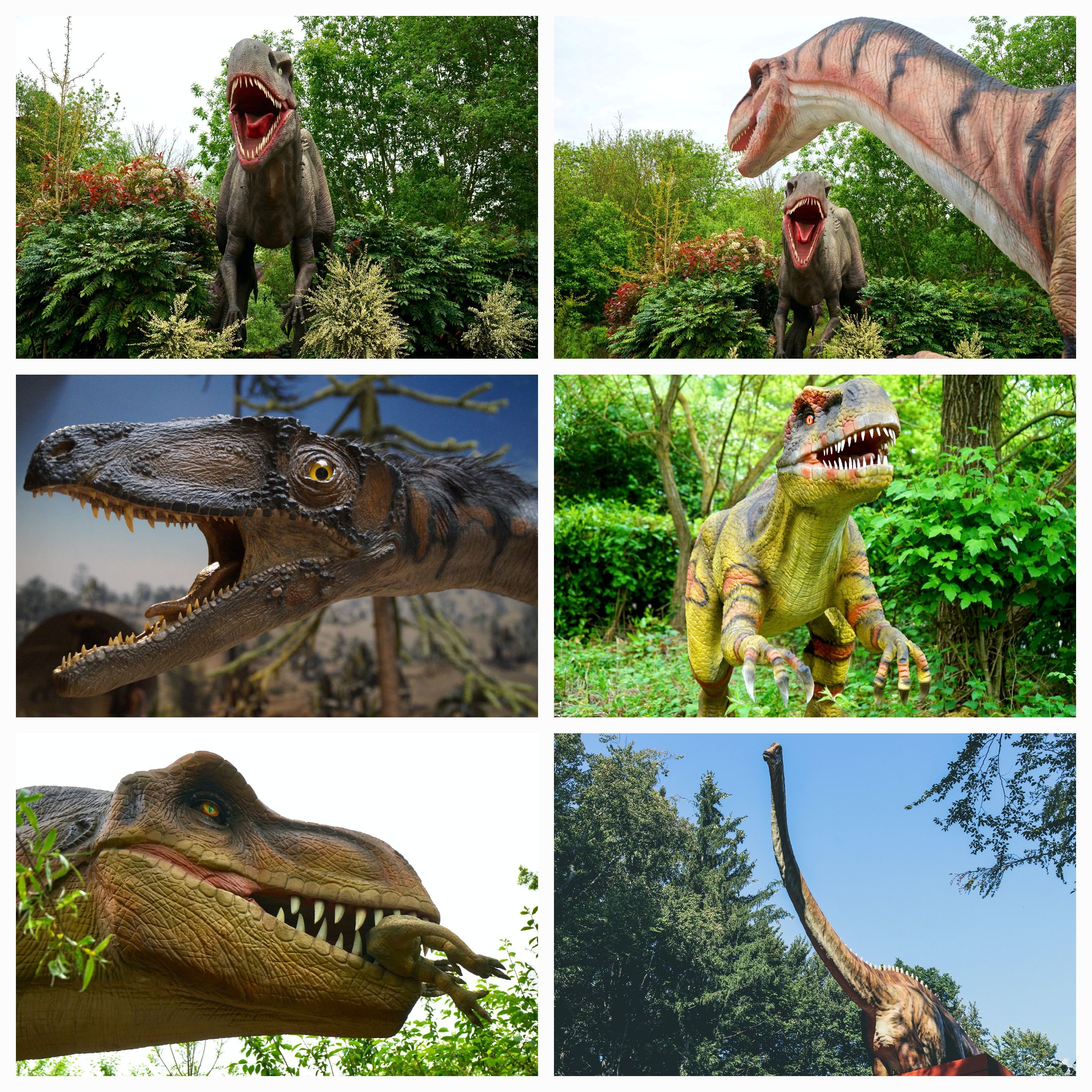 Resurrecting the Brachiosaurus: Exploring Ecological Impact, Scientific Value, and Educational Potential