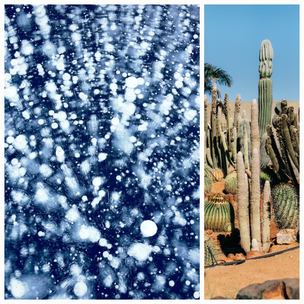 The Transience of Humanity: Embracing Nature’s&nbsp;Timelessness