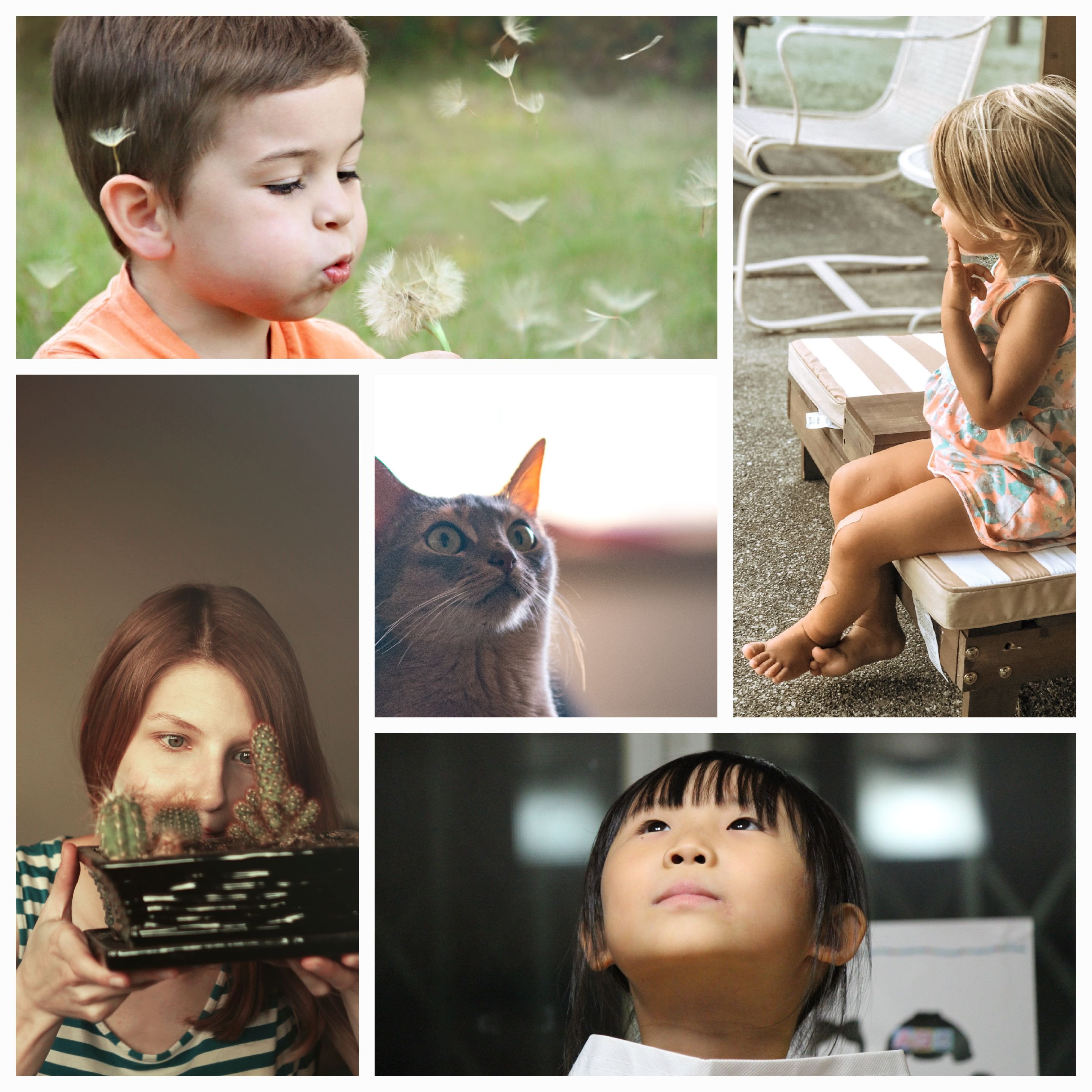 Exploring the Depths of Curiosity: Unveiling the Mysteries of Science, Psychology, Art, and More