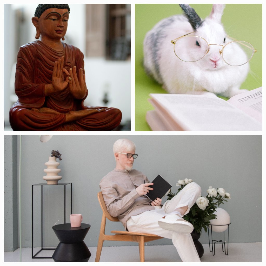 Unveiling the Tapestry of Intelligence: Embracing Humility and the Shared Journey of&nbsp;Wisdom