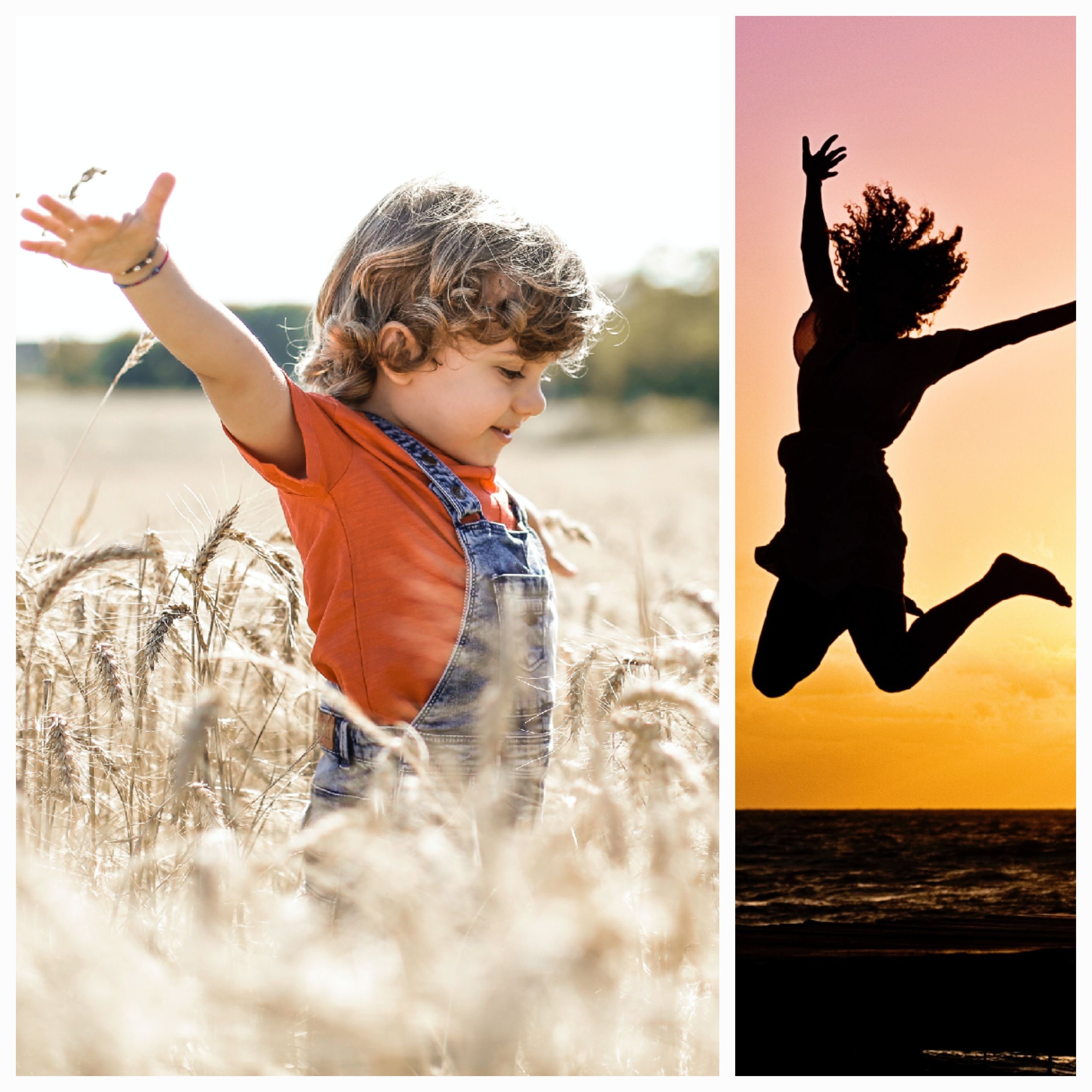 Embracing Life’s Ephemeral Sessions: Reflections on Impermanence and the ‘Refresh’ Mindset