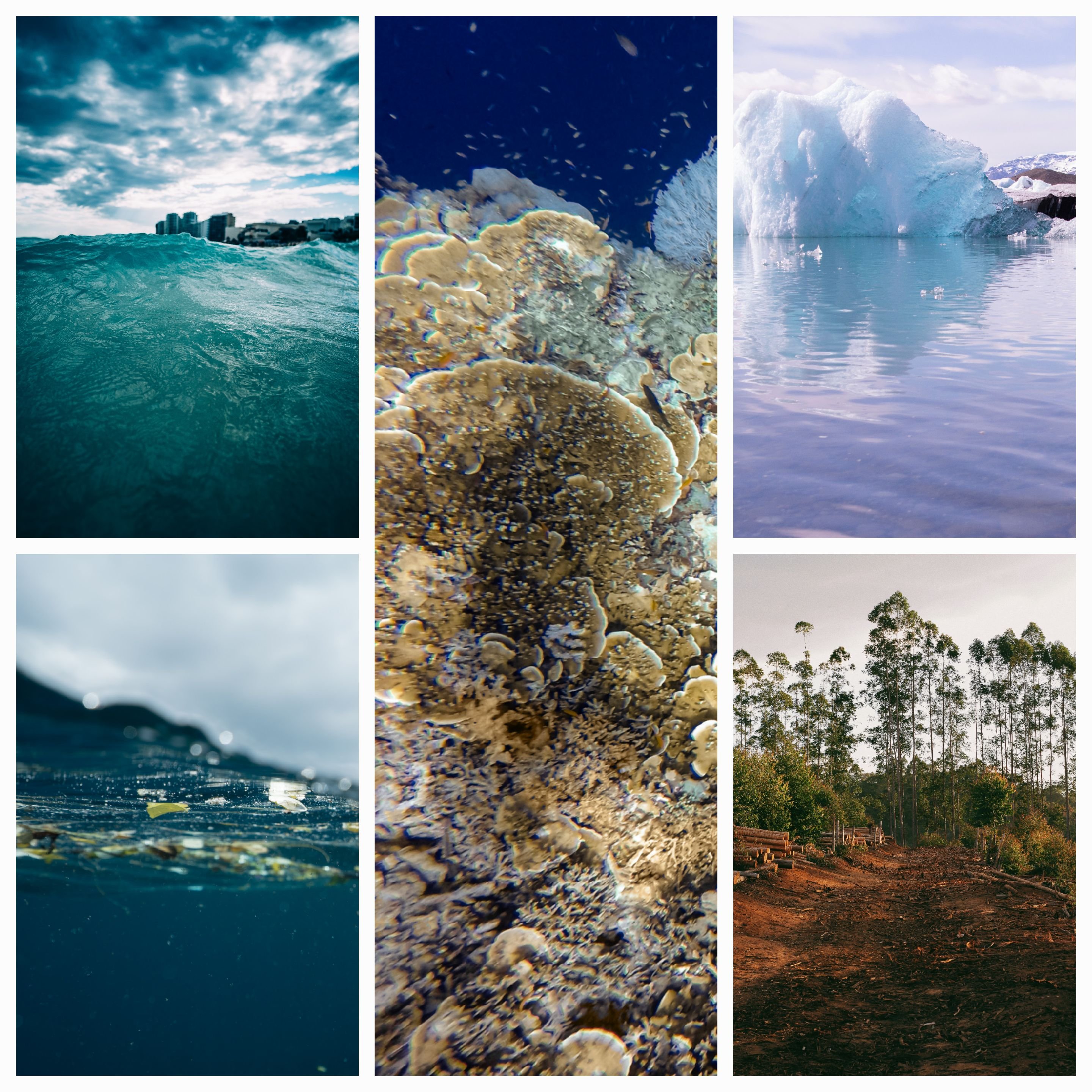 Nature’s Silent Protest: Humanity’s Disregard and the Call for Balance