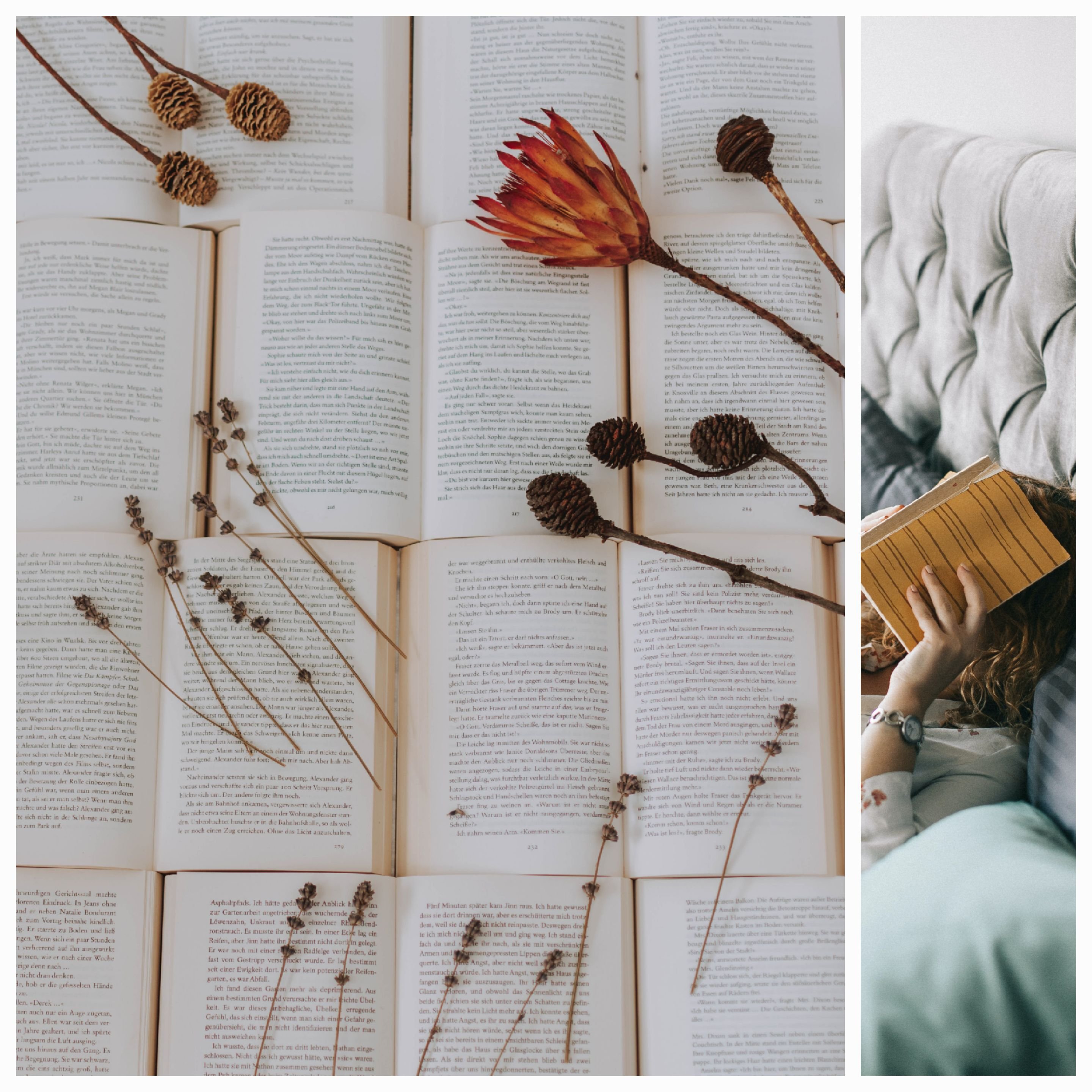 Tears of the Written Word: Books That Awakened Deep Emotions