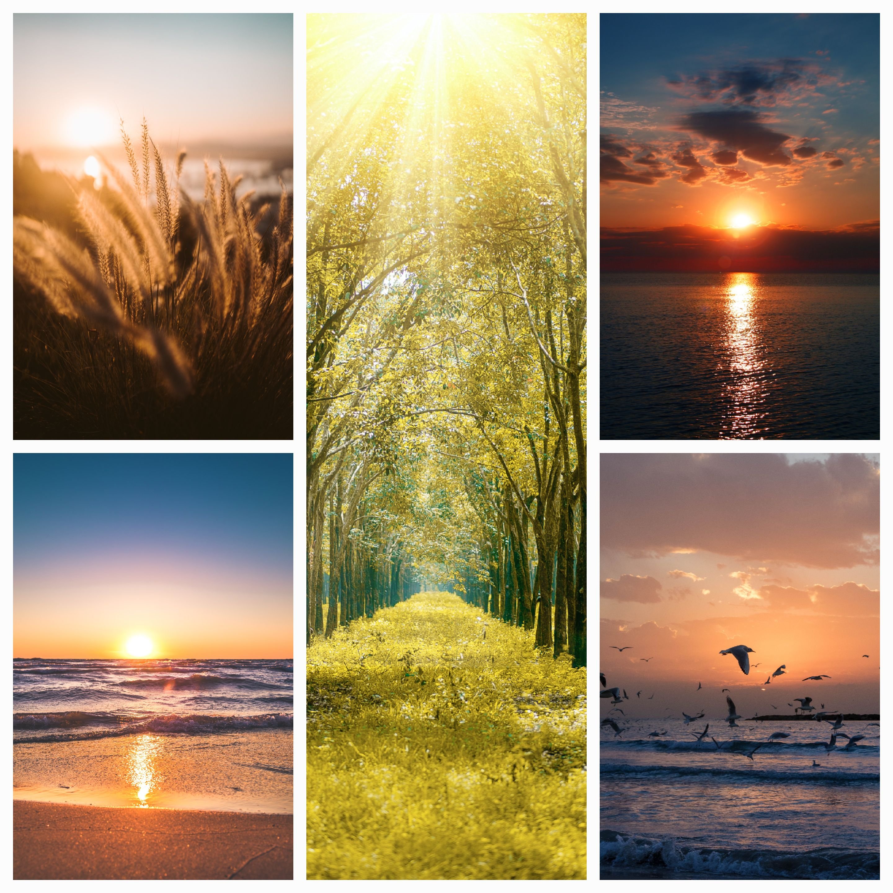 Exploring the Beauty and Significance of Different Times of the Day: My Favorite Time of Day