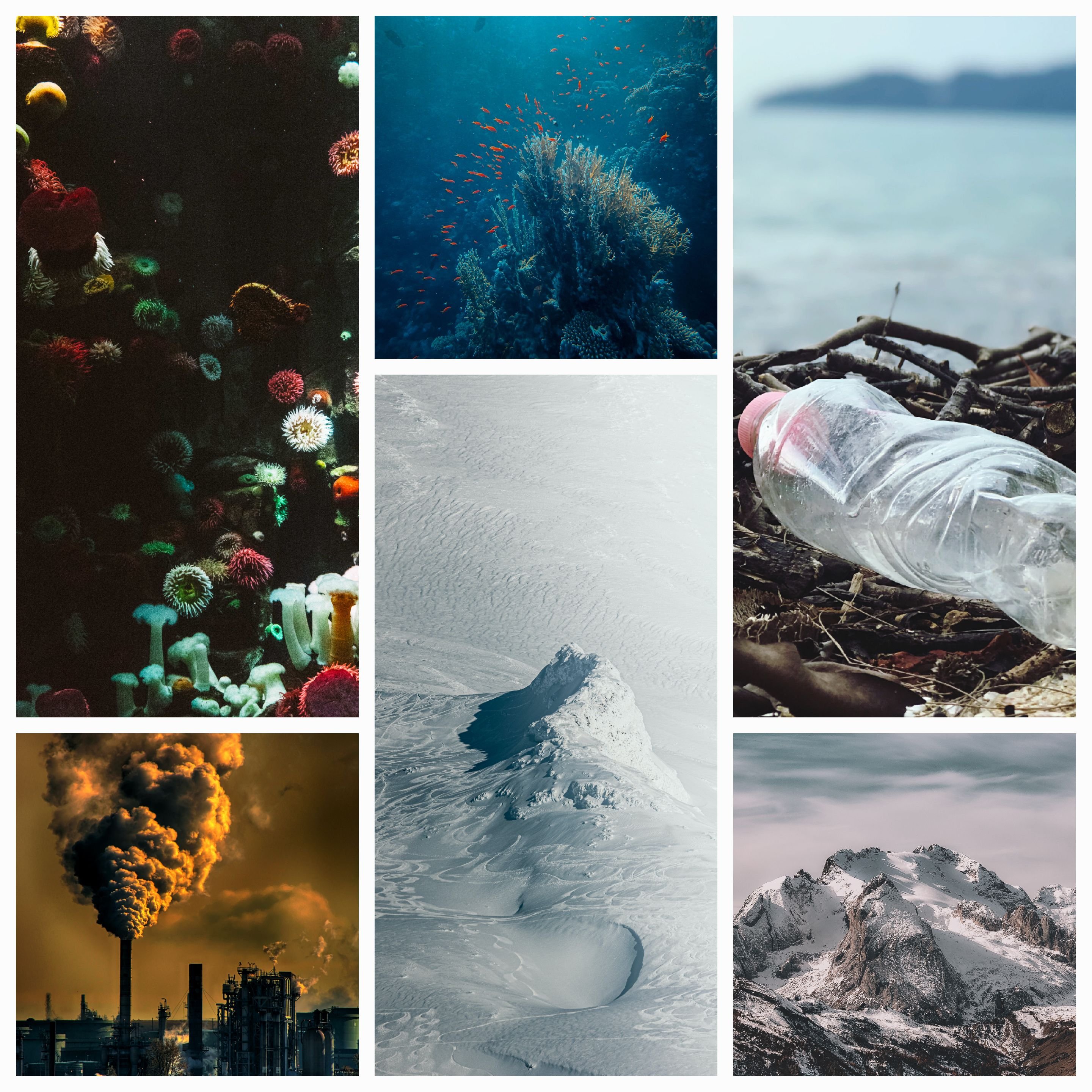 Nature’s Cry for Healing: Overcoming the Limits of Emissions on Global Warming and Marine Pollution