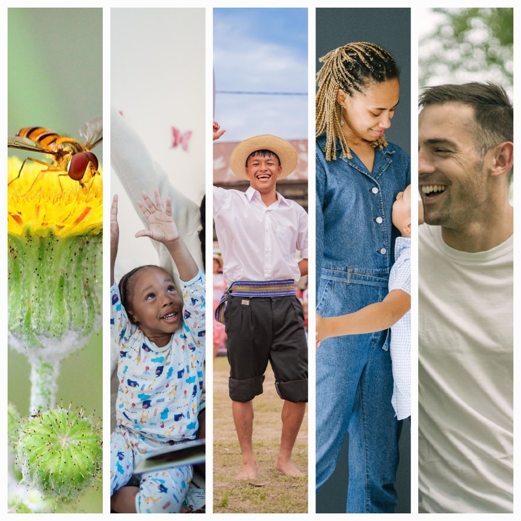 Unlocking Inner Serenity: The Power of Mindfulness in Daily&nbsp;Life