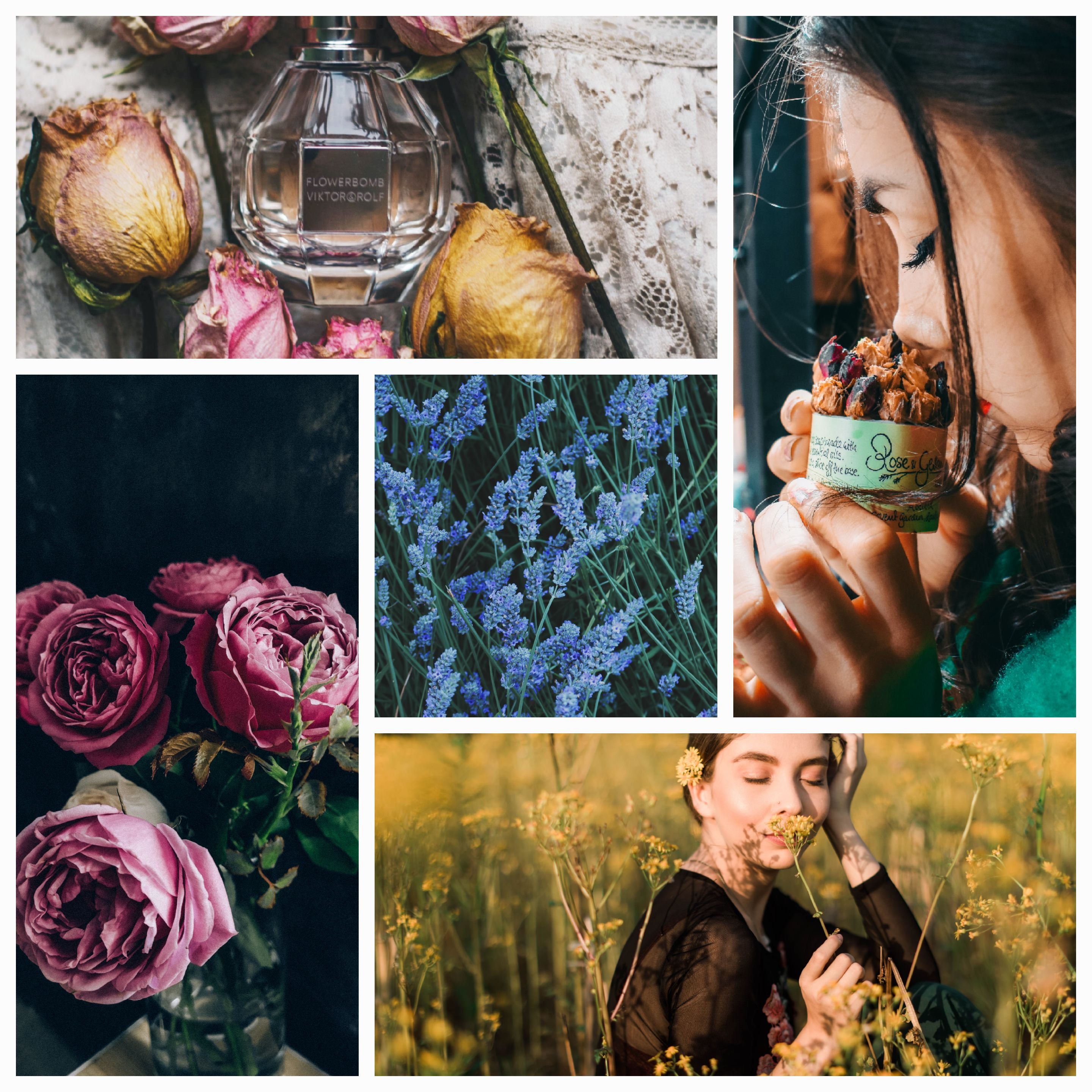 Enfleurage: Unraveling the Mysterious Art of Capturing Nature’s Fragrant Secrets