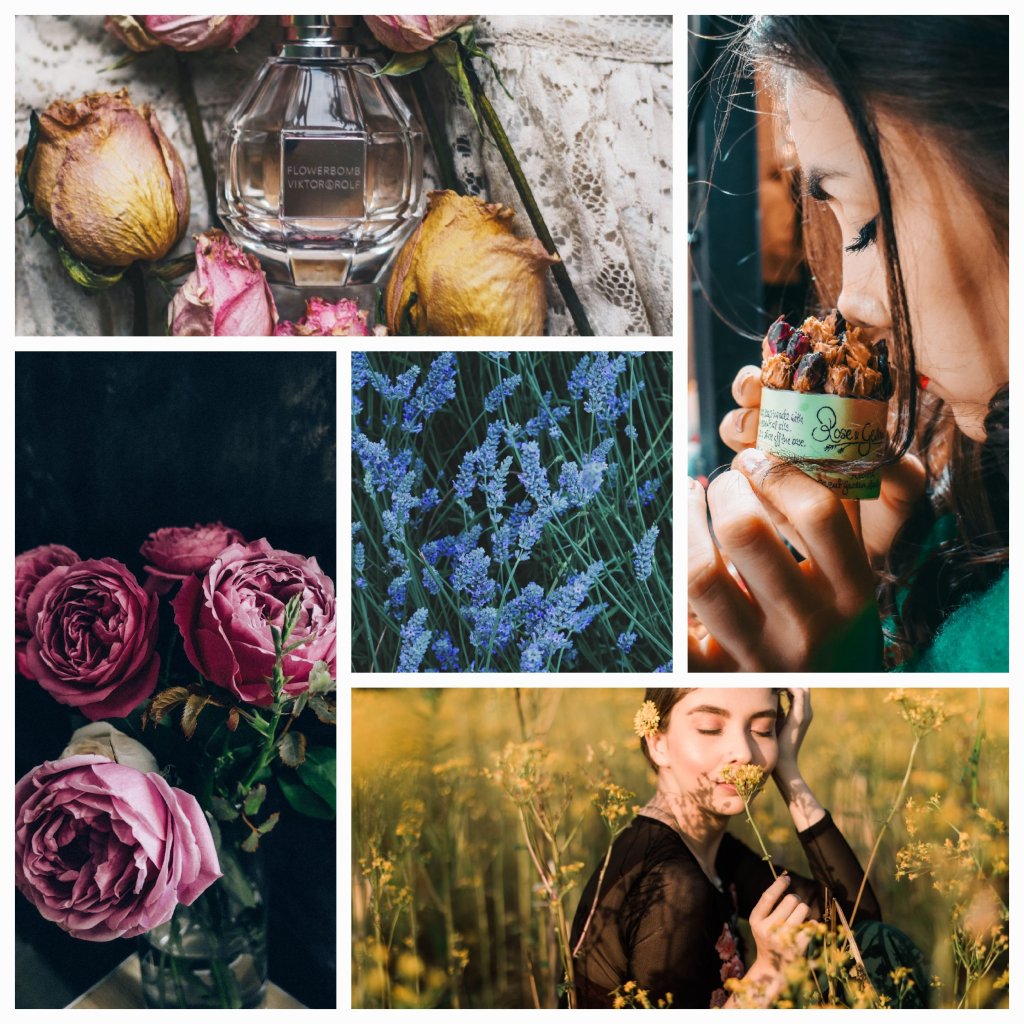 Enfleurage: Unraveling the Mysterious Art of Capturing Nature’s Fragrant&nbsp;Secrets