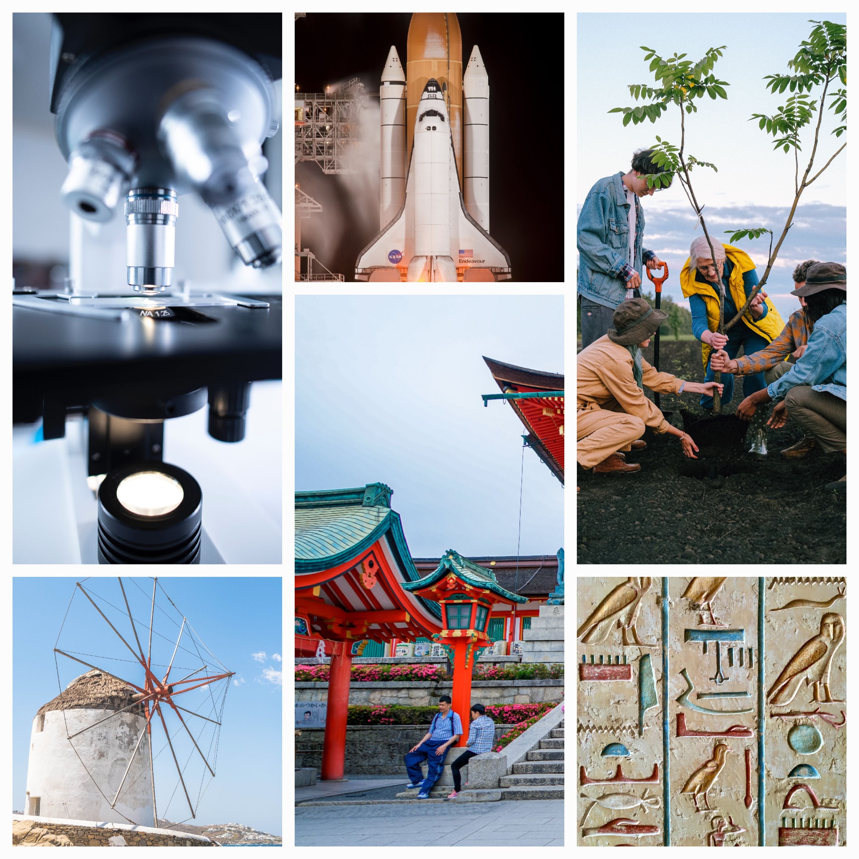 My Endless Quest for Knowledge: Exploring Topics to Deepen My Understanding