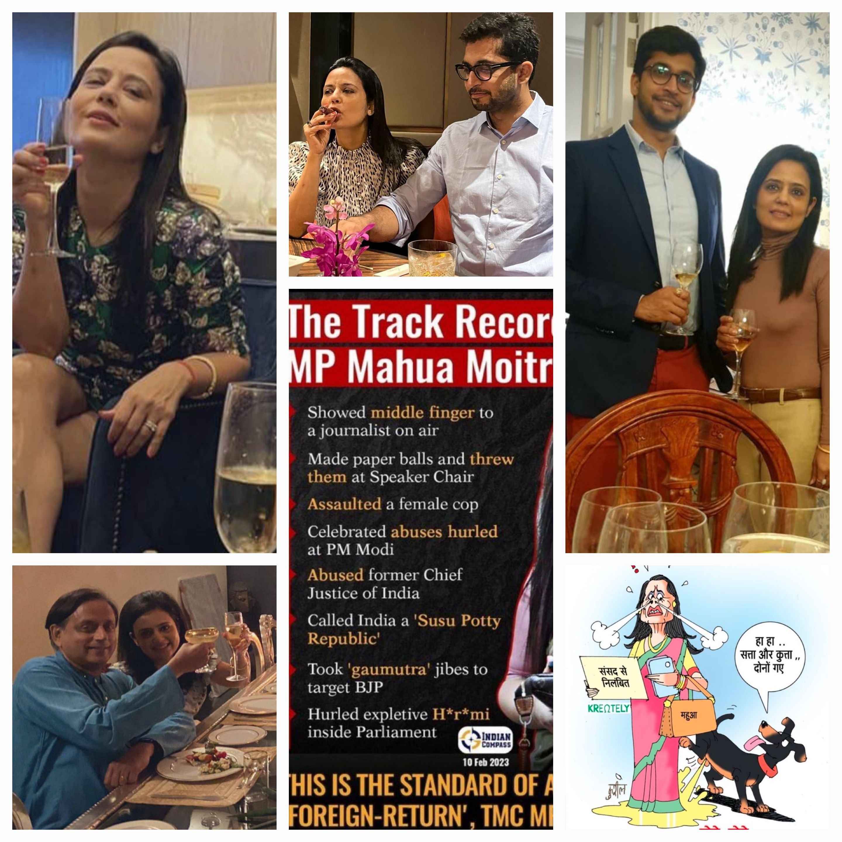 Mahua Moitra: The Rise and Fall of a Controversial Politician