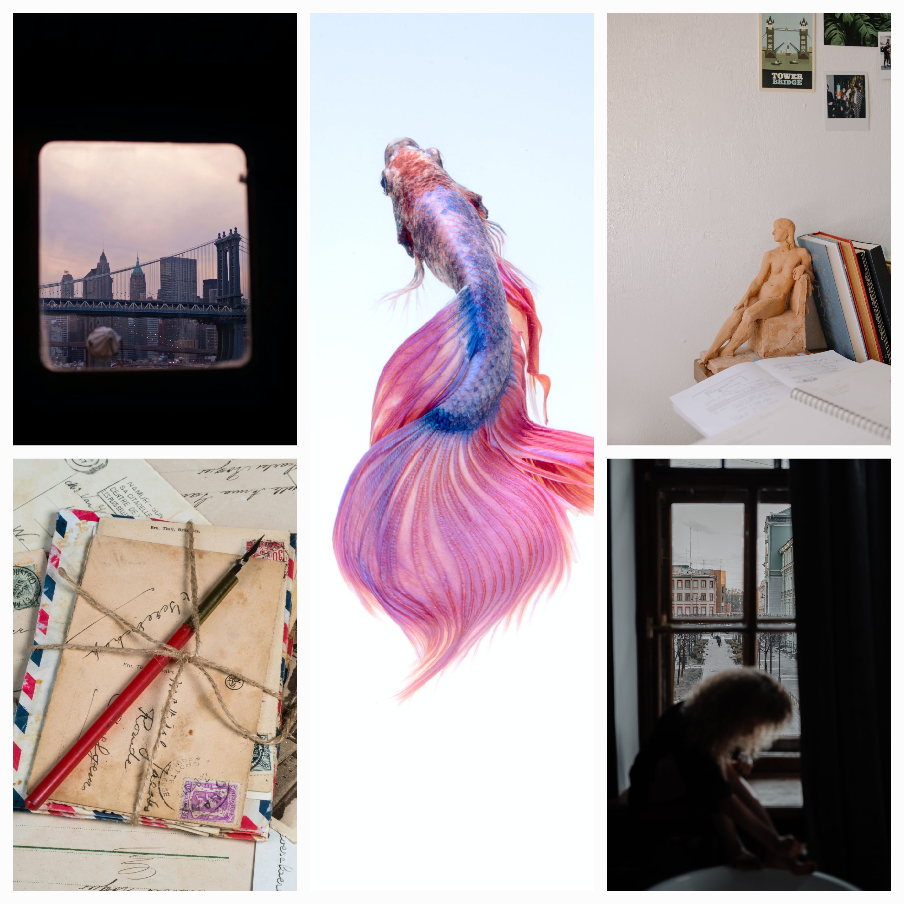 A View from My Window: A Digital Dance of Souls and Stories