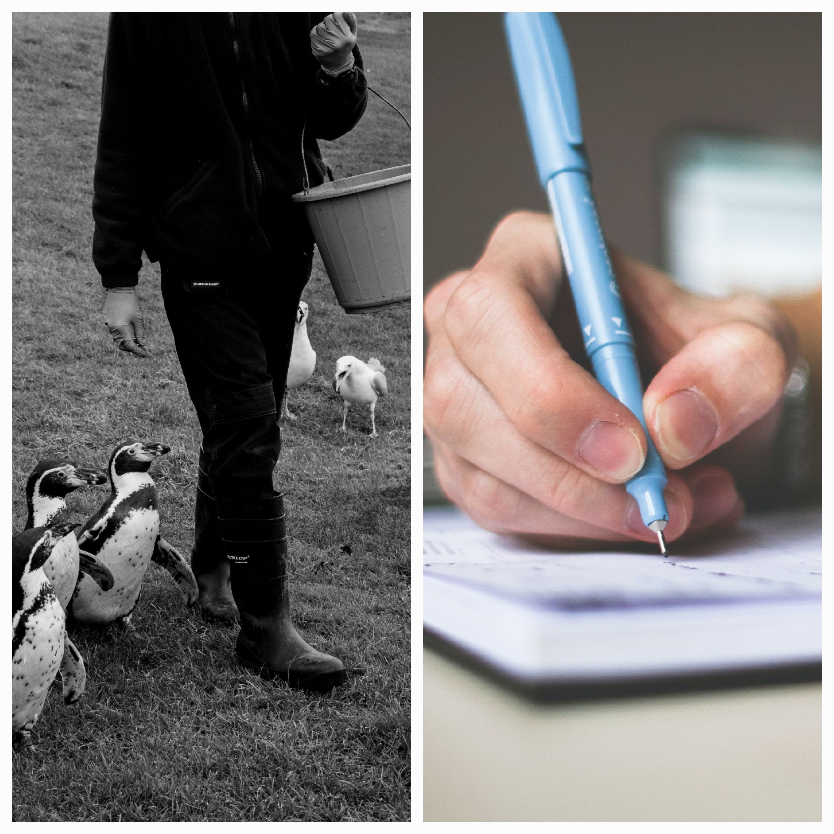 Embracing Dreams: A Journey Through My Top 5 Bucket List Adventures