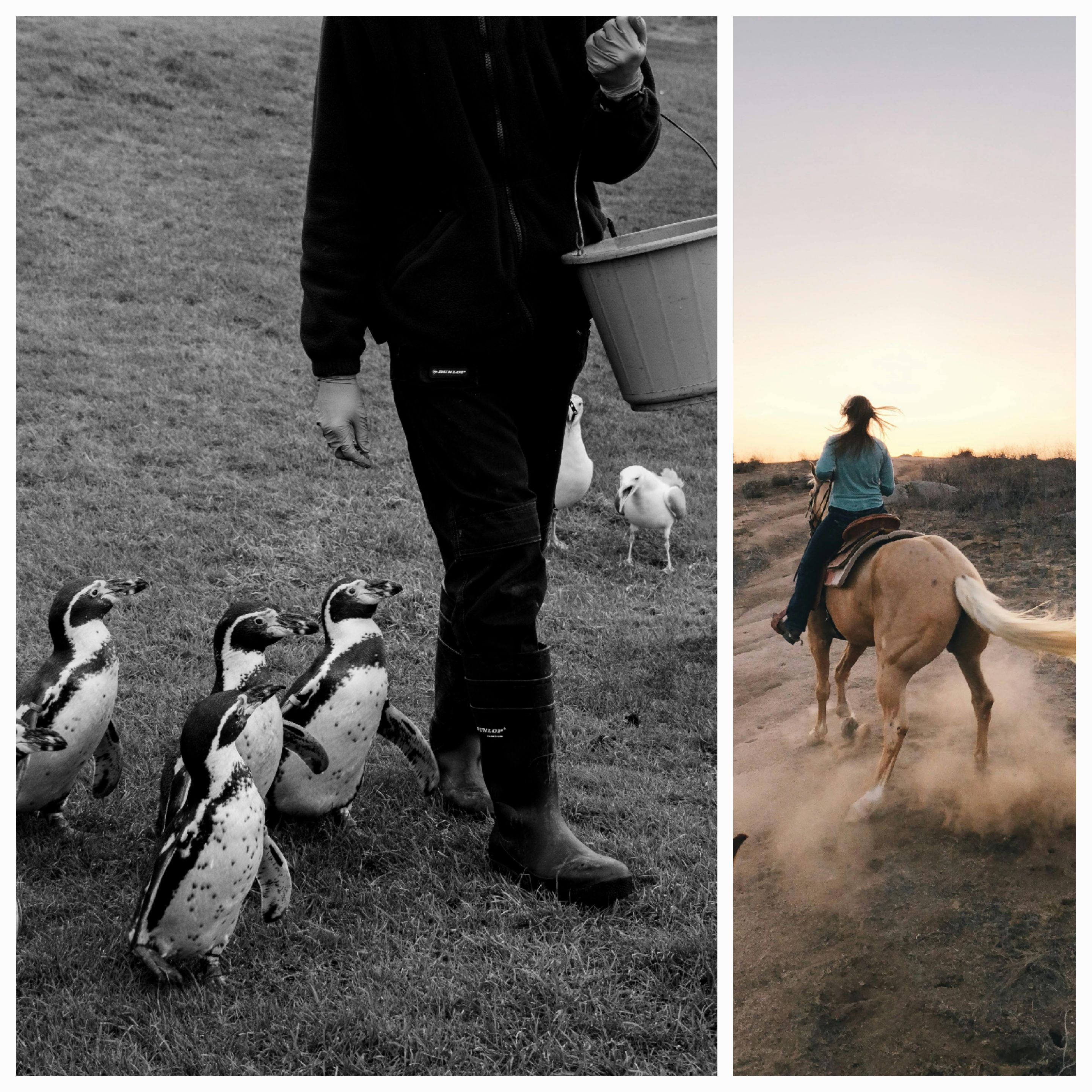 Embracing Authenticity: How Following Makes Me Feel Most Like Myself