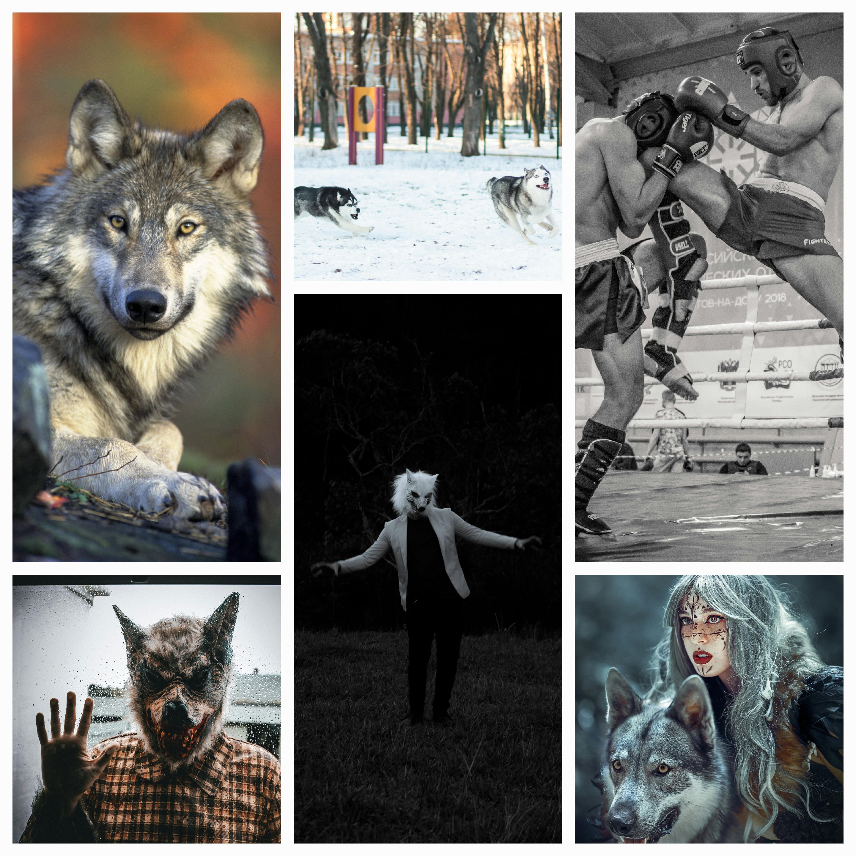 Instinctual Regression: Humanity’s Vendettas and Nature’s Wisdom