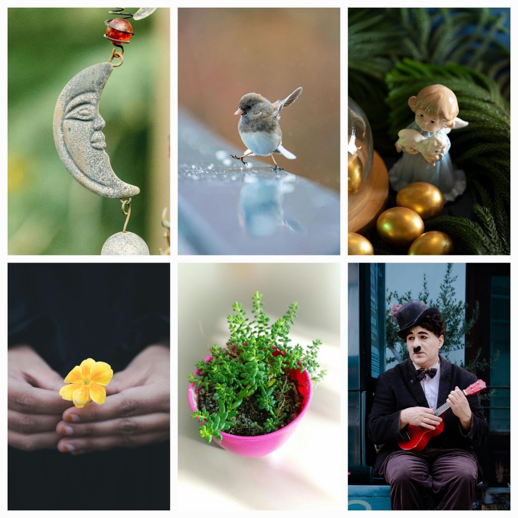 Embracing the Power of Small Things: Finding Joy in Life’s Simple&nbsp;Pleasures