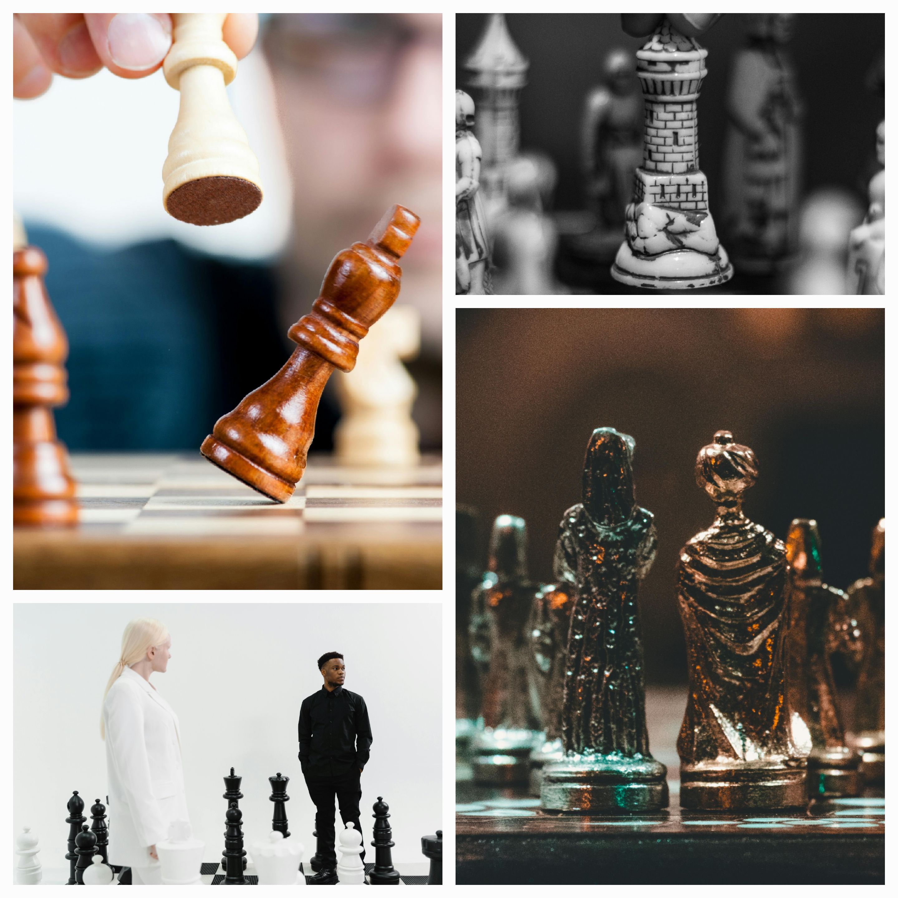 Check and Mate: The Quest for Dominance in Life’s Grand Game
