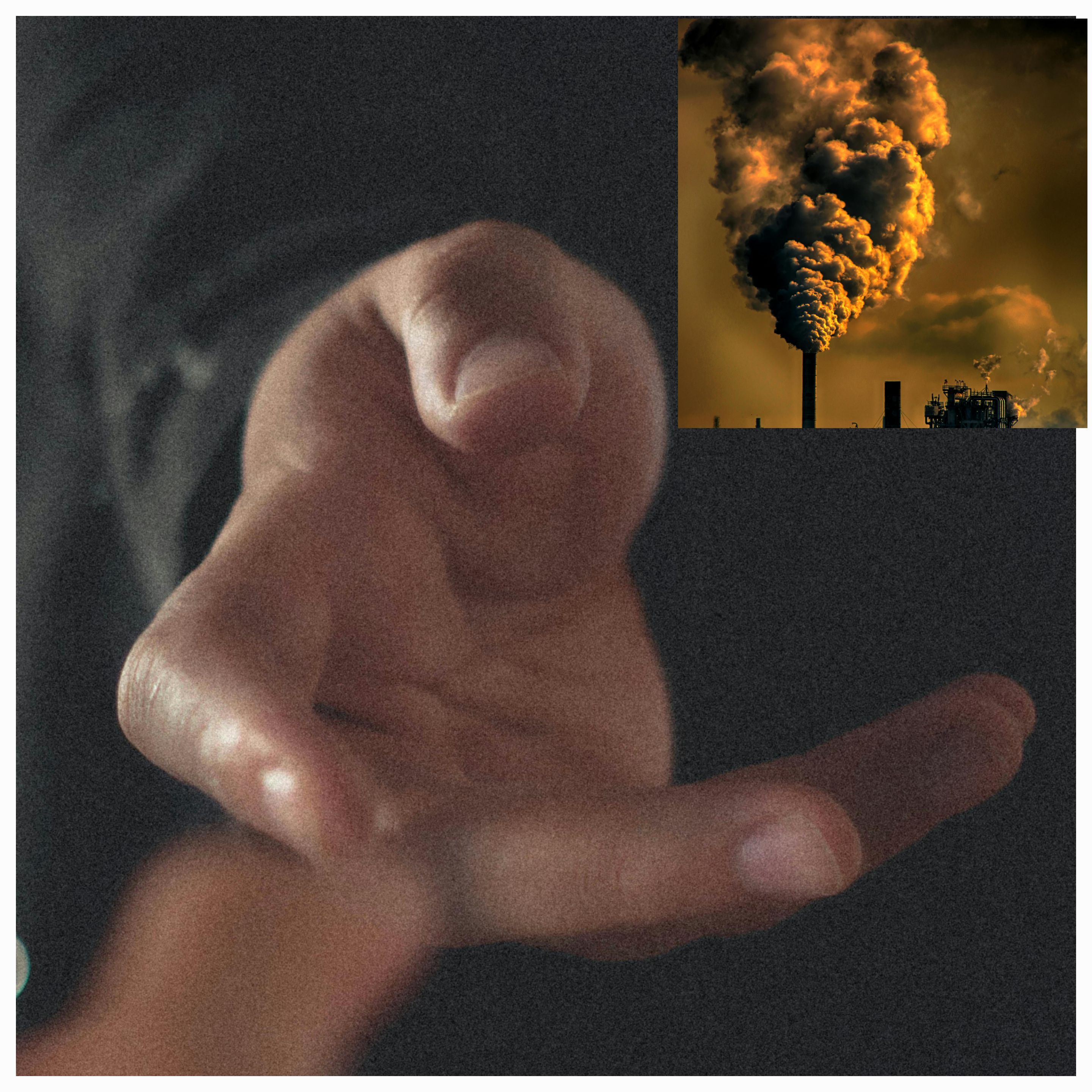 Navigating the Toxic Jungle: Strategies To Detox Your Life From Toxic People in Relationships by Eliminating Their Negative Influences