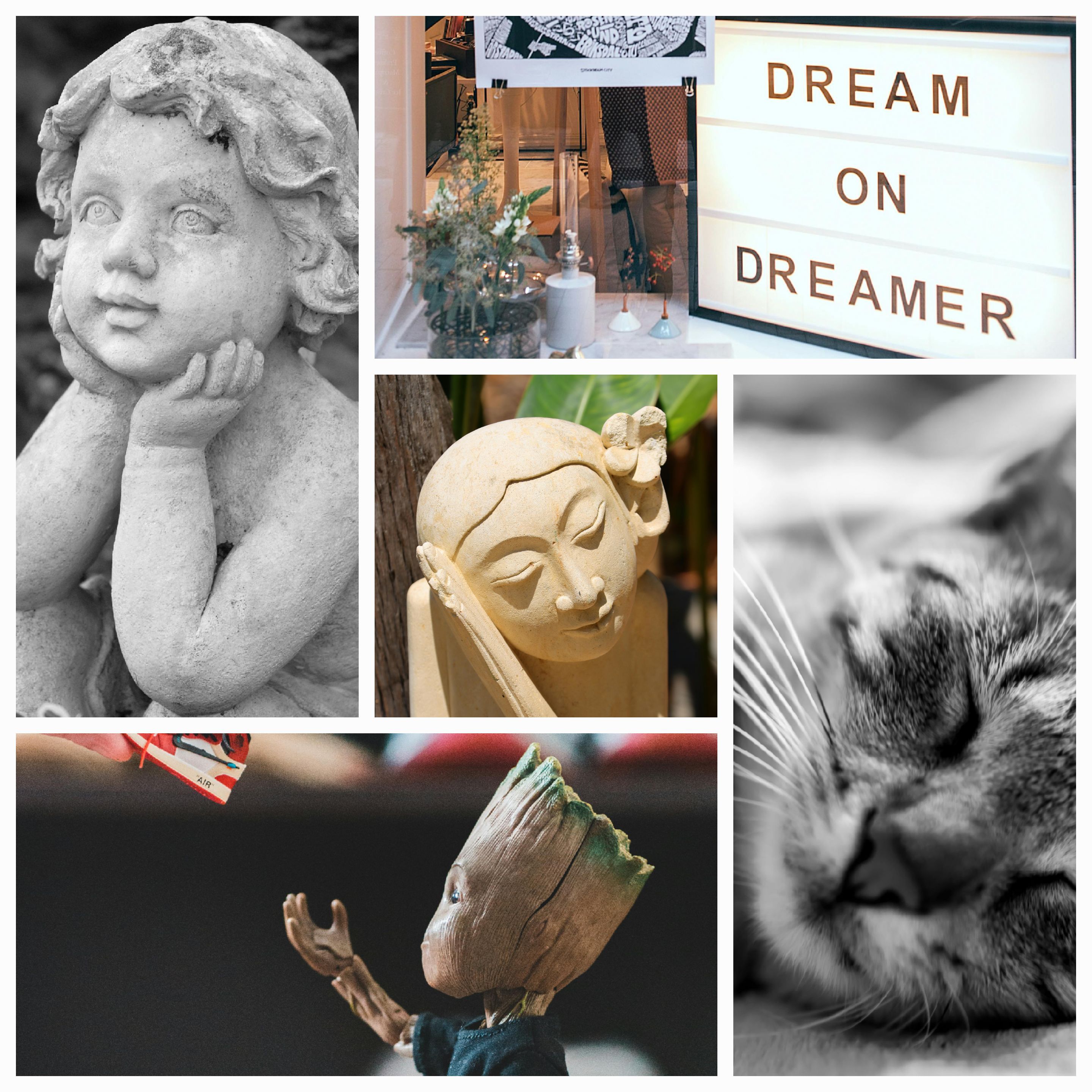 Twilight Dreams and Reality’s Embrace: A Tale of Harmony