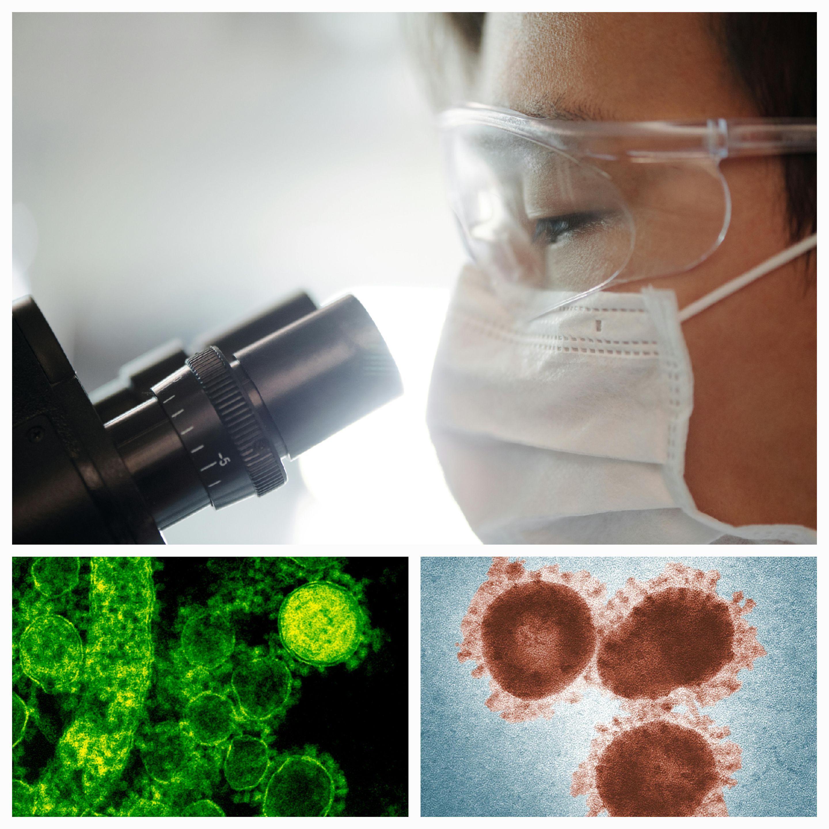 Unveiling Hidden Dangers: FBI Emails Reveal Concerns Over U.S.-Funded Virus Experiments in Wuhan